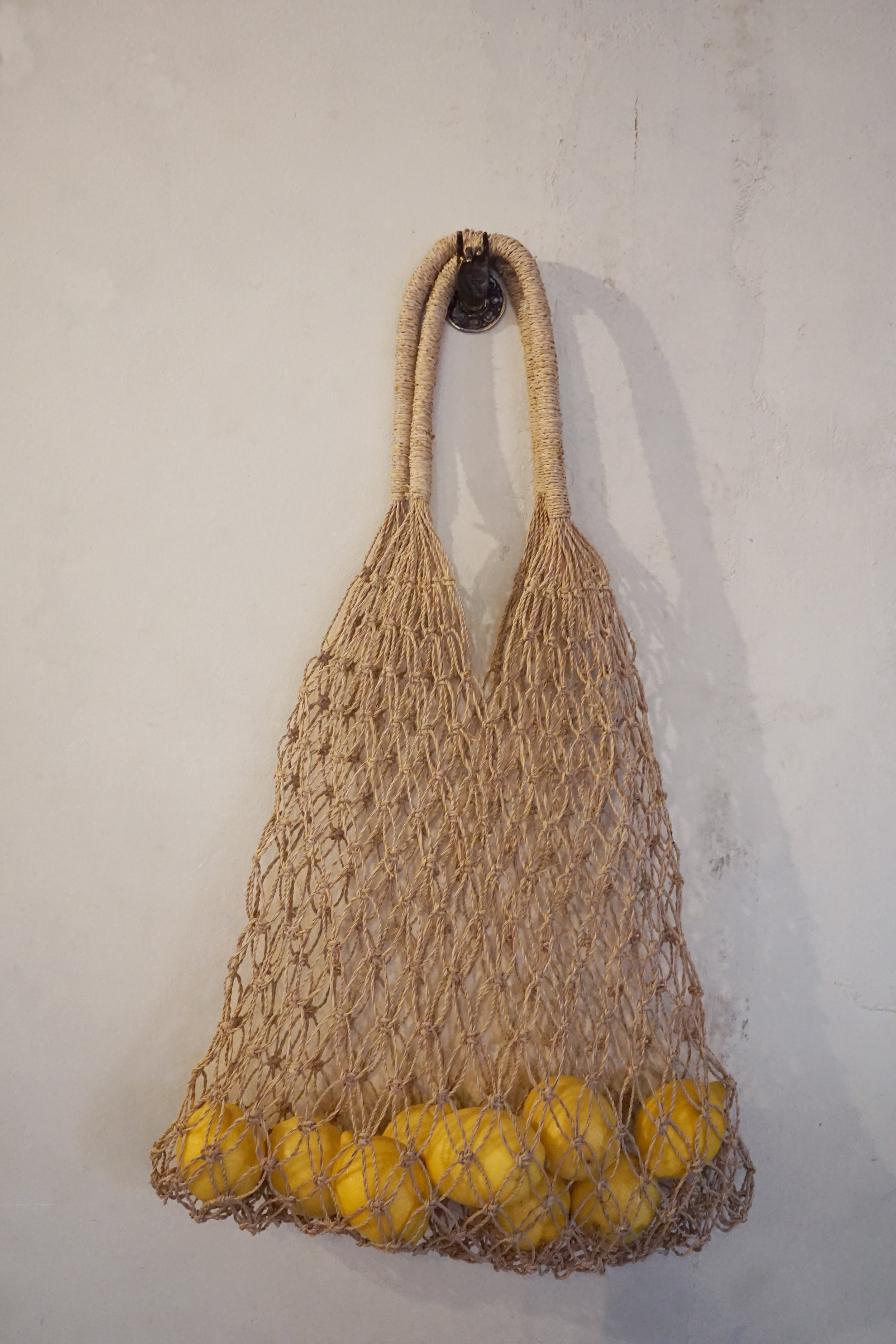 DSC03264 BAG LEMONS-Recovered 2.jpg