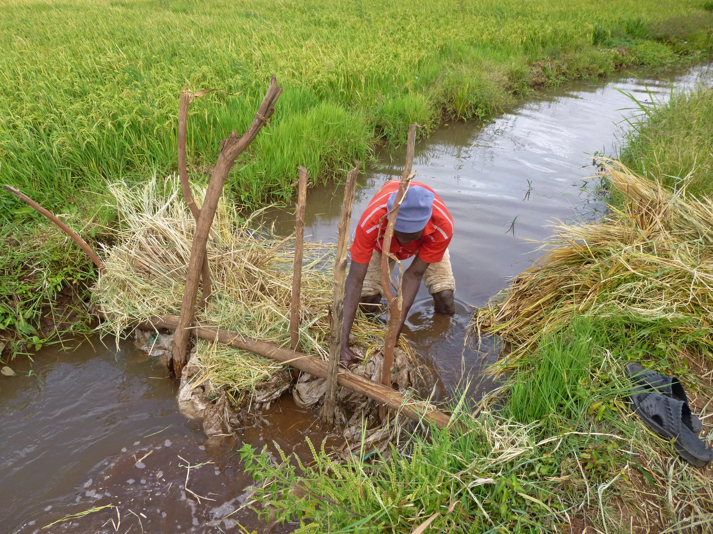 We co-founded the world’s first Water Stewardship Standard, which guides, recognises and rewards climate-smart and sustainable water management practices. We lead the development and rollout of the Standard across Africa.