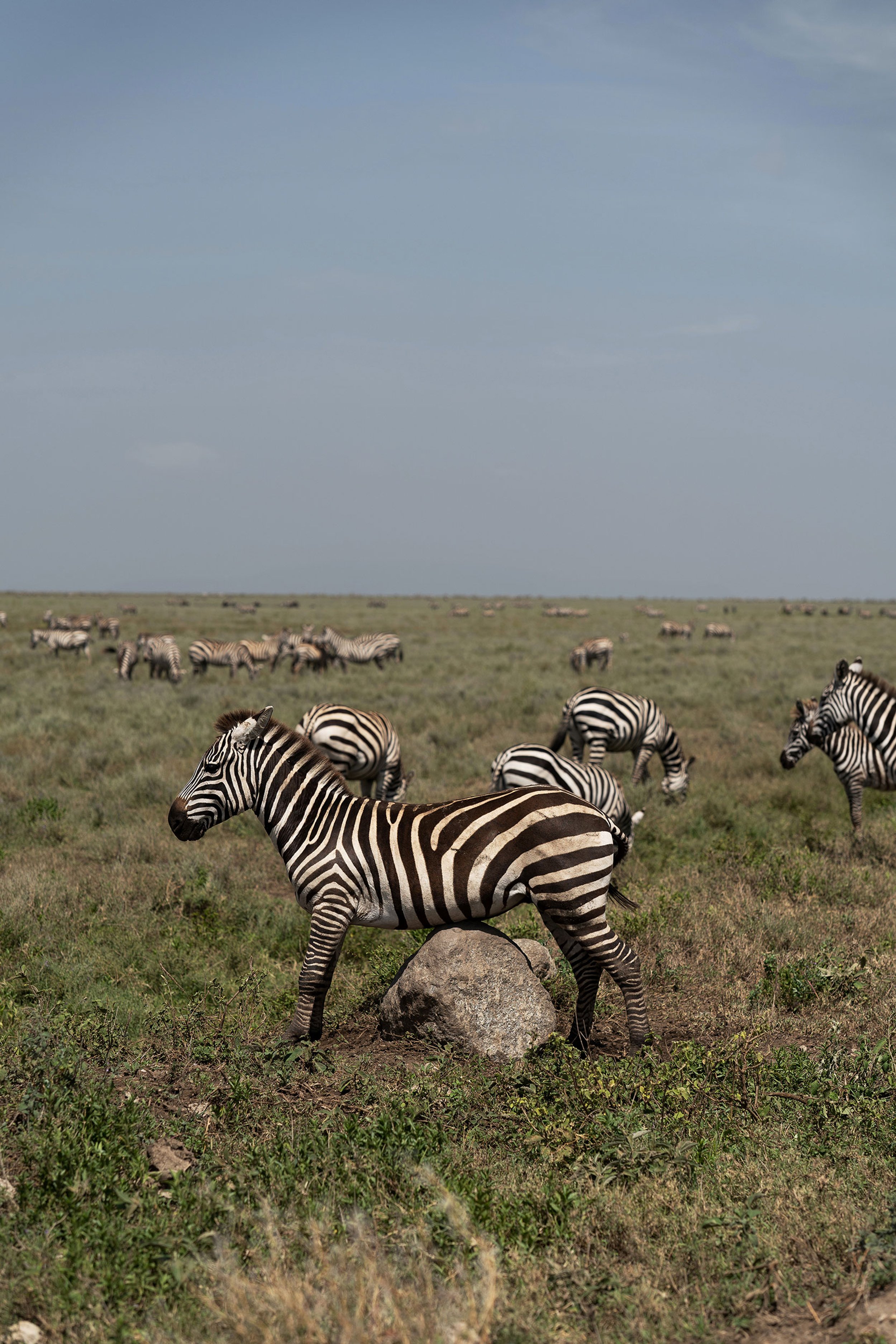 tanzania-photographer-honest-work-08.jpg