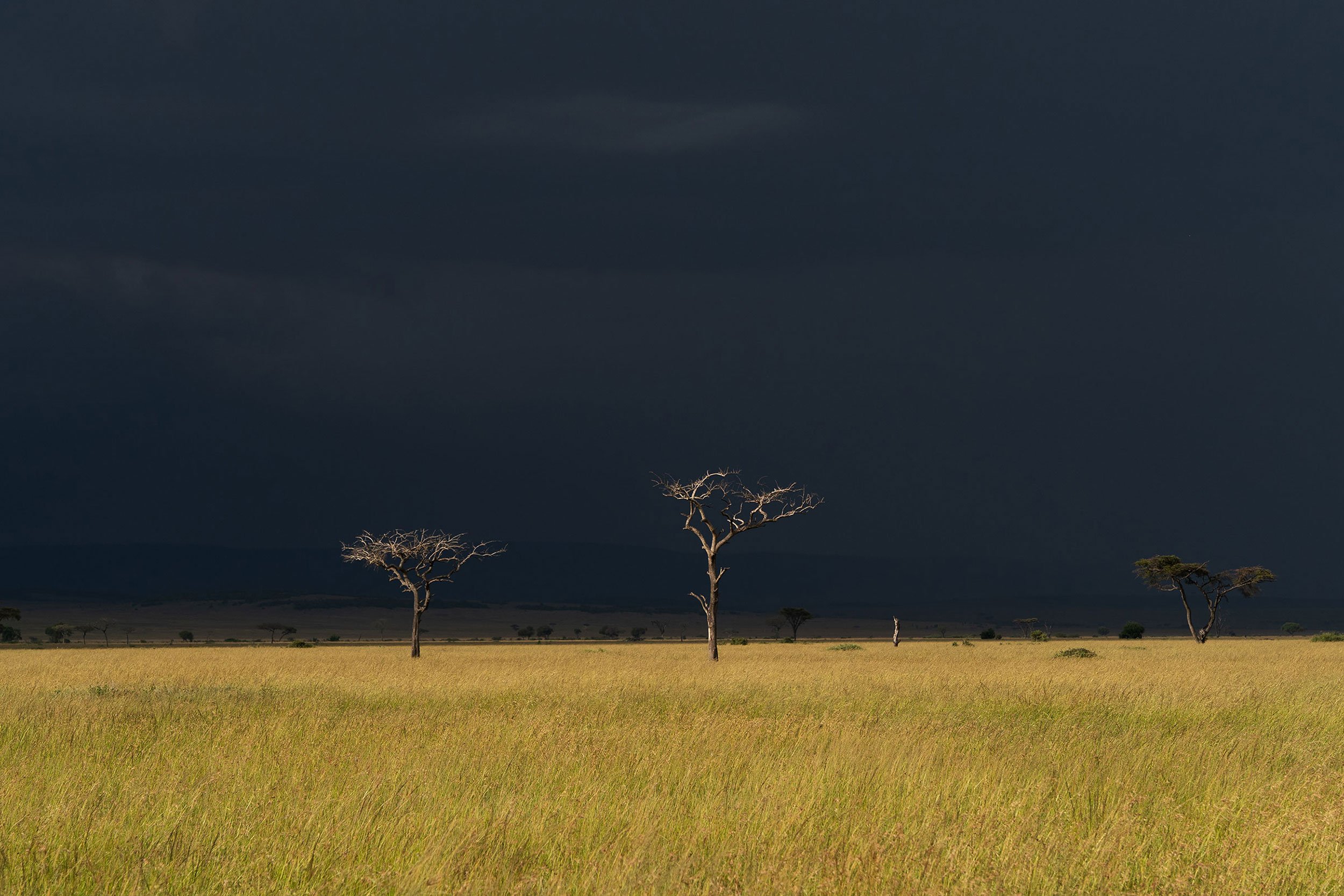 tanzania-photographer-honest-work-13.jpg