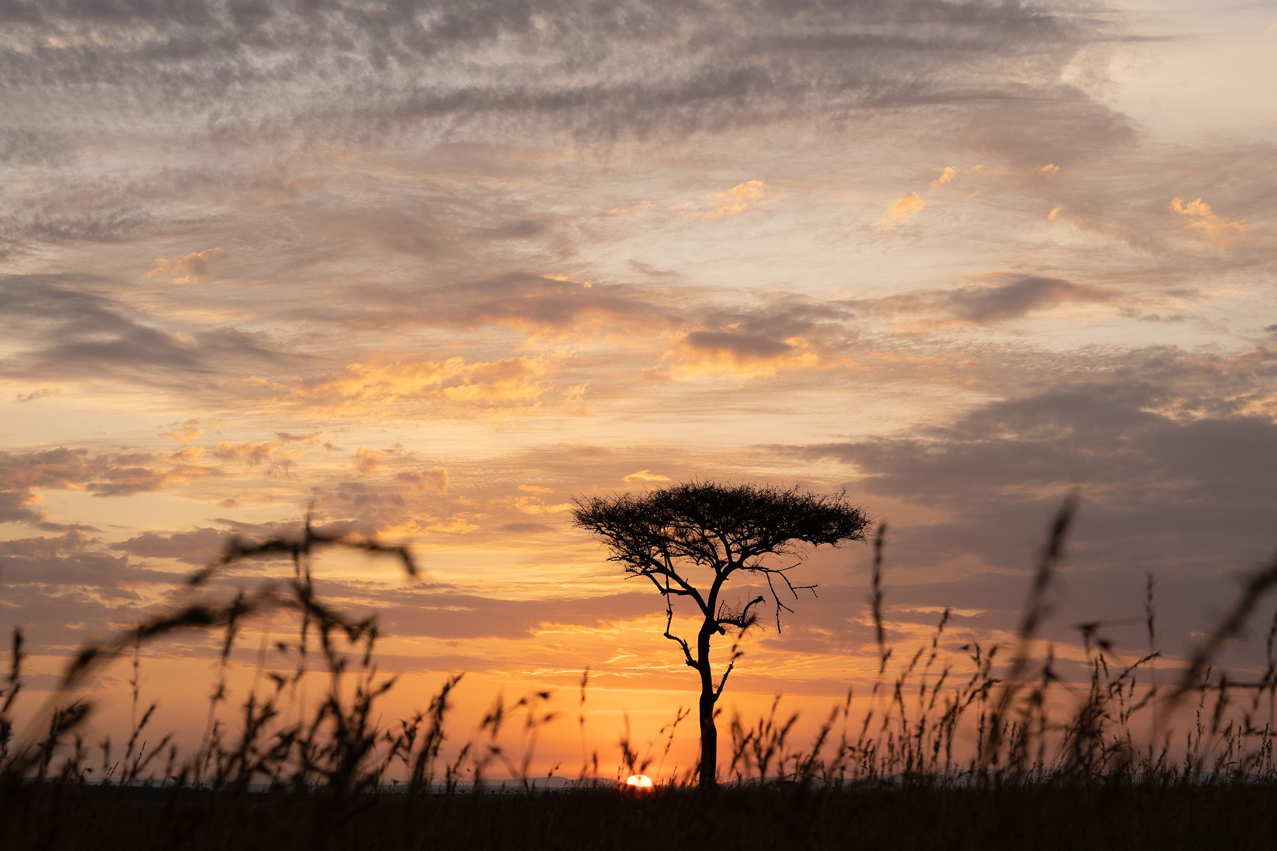 tanzania-photographer-honest-work-28.jpg