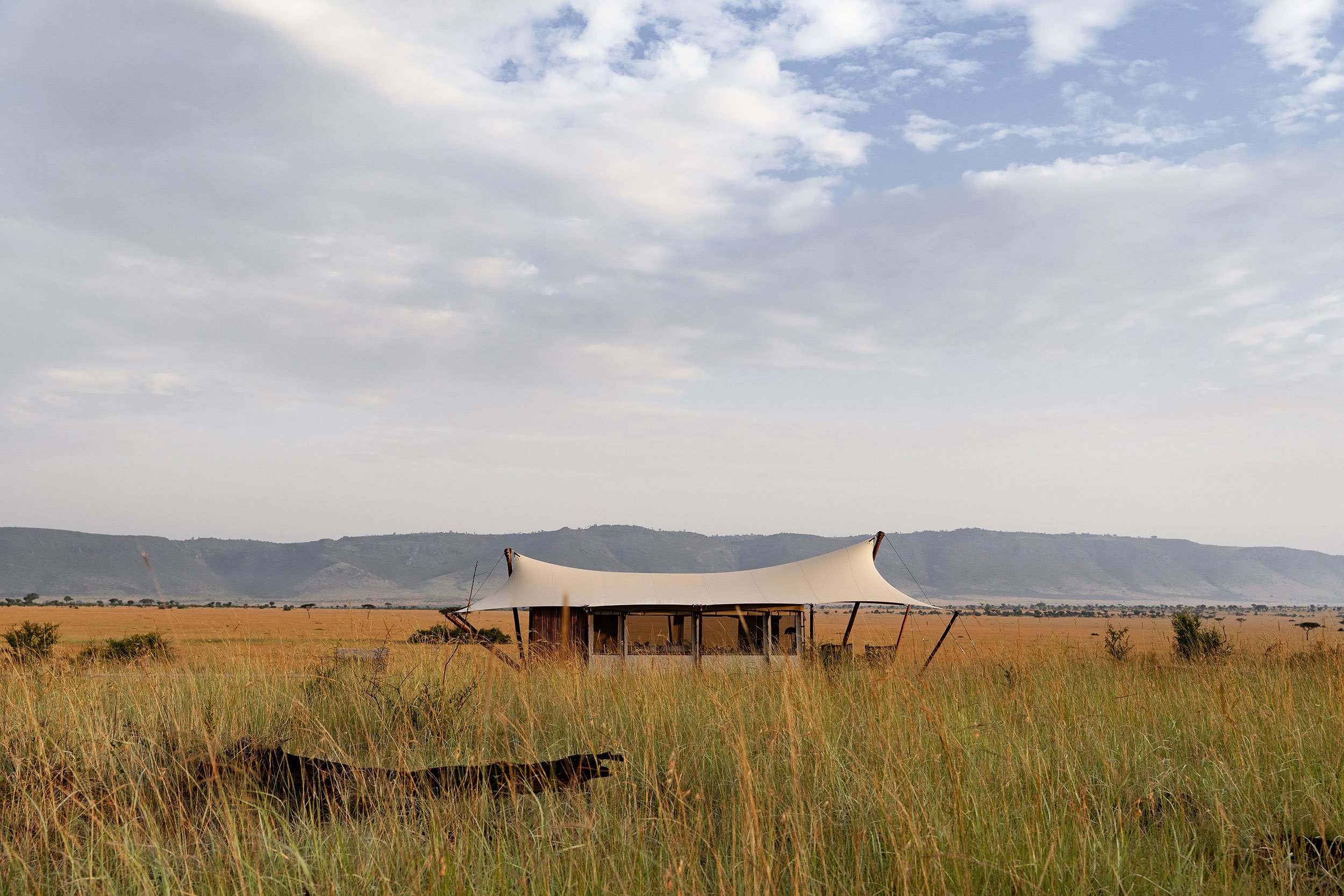 tanzania-photographer-honest-work-42.jpg