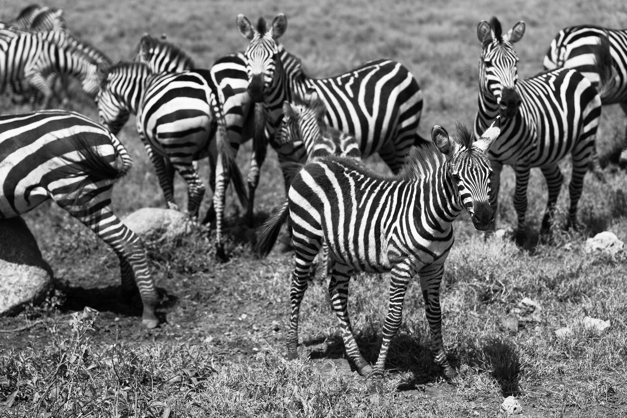 tanzania-photographer-honest-work-46.jpg