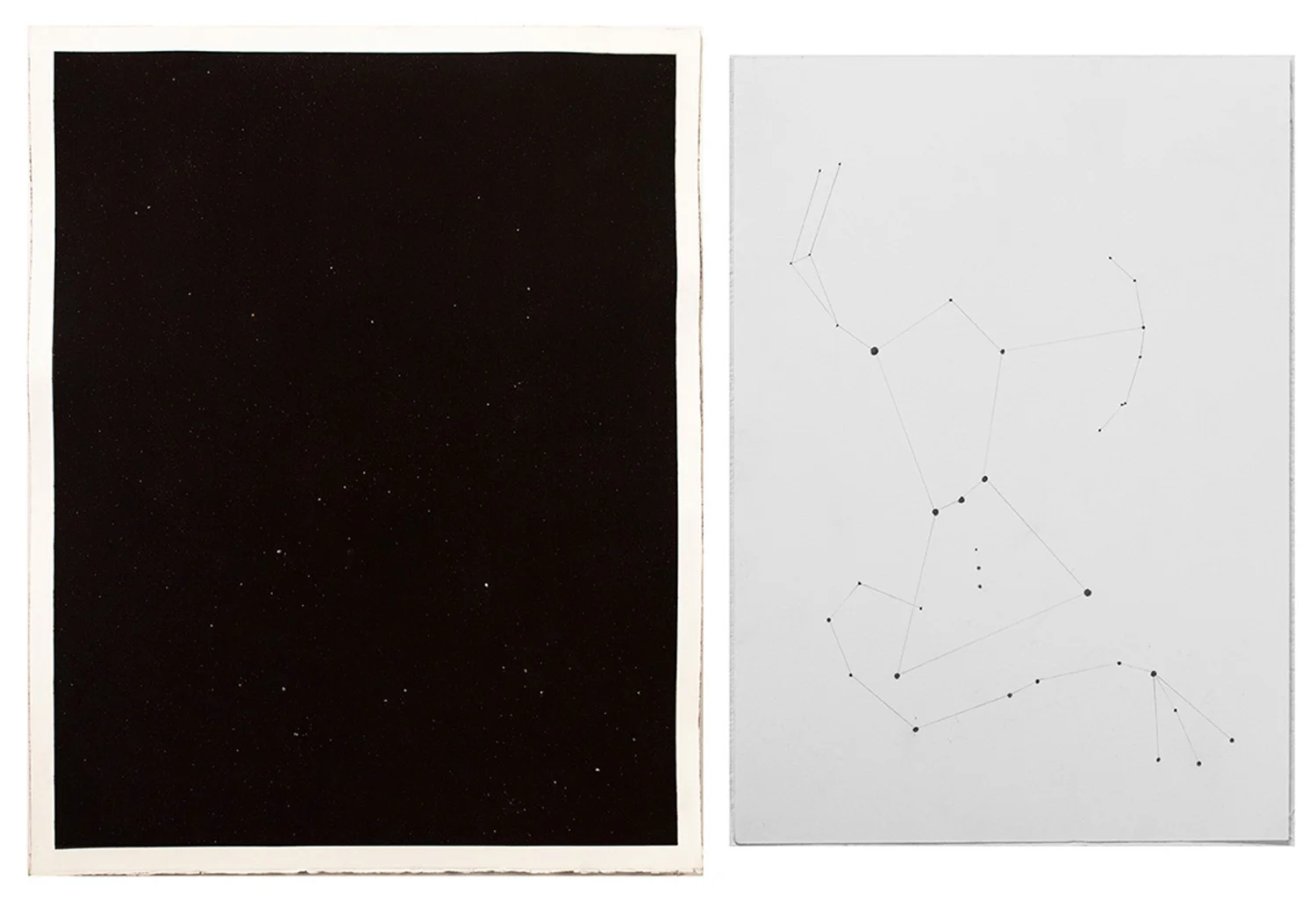 Scorpius Stings Orion Constellation . Charcoal on hand-toned gouache paper. 2016. 34" x 27"