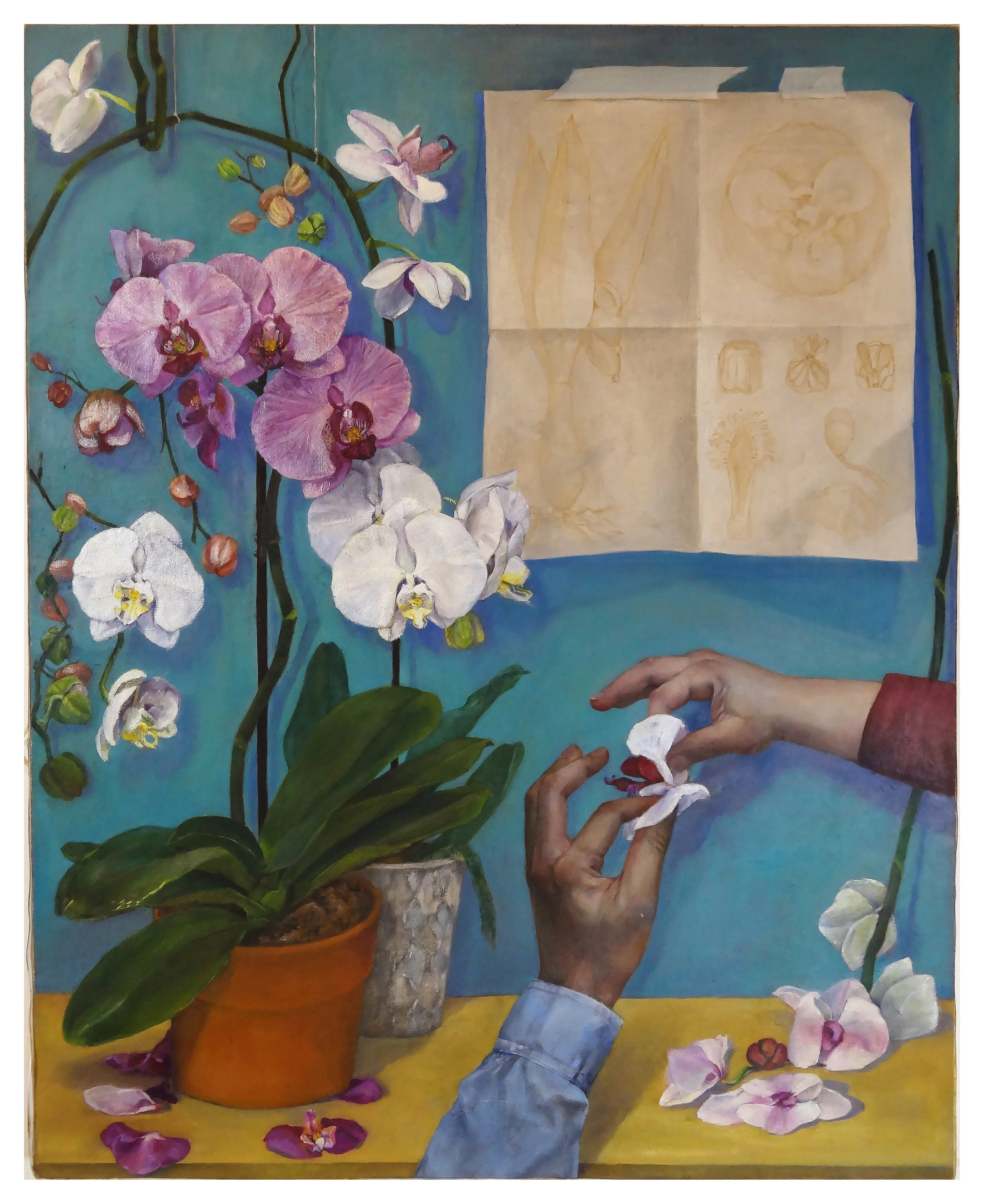 04_Orchids 2.jpg