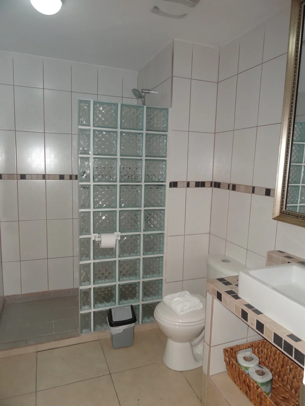 deluxe_bathroom1_2015-02-23 14.37.18.jpg