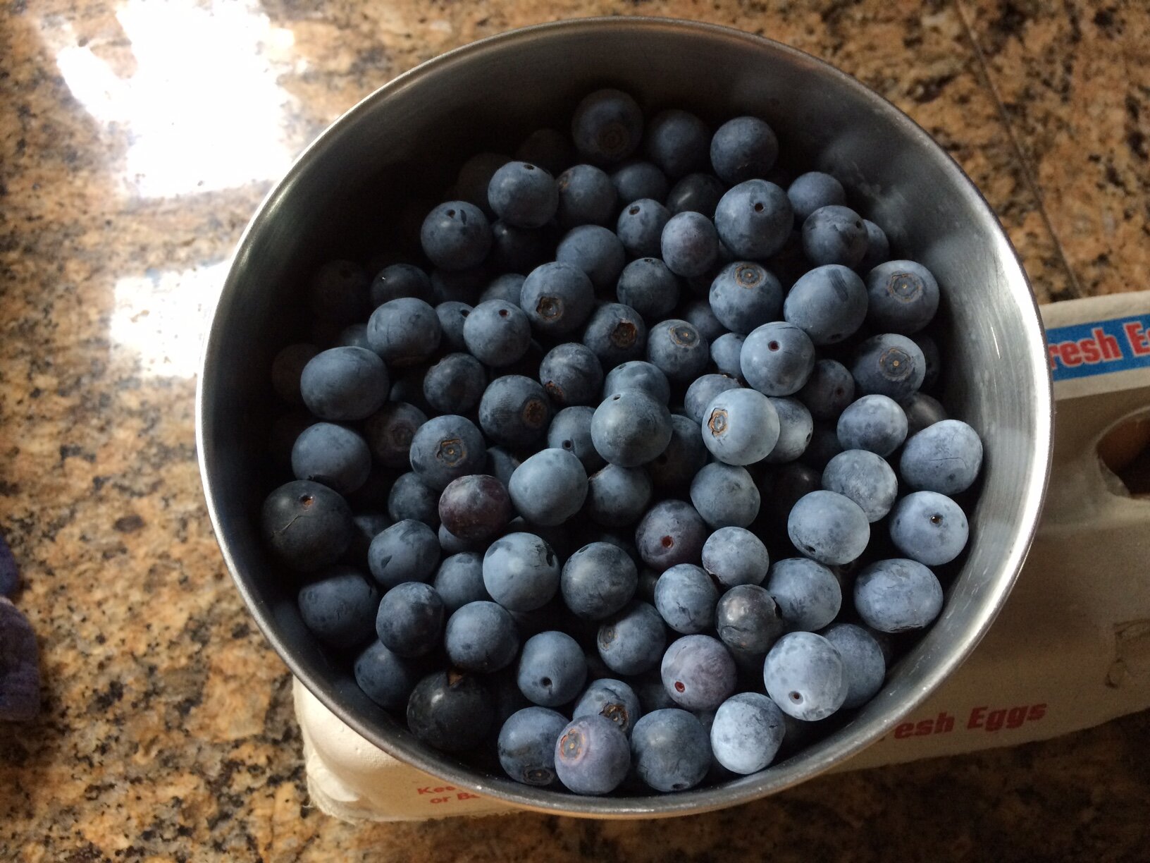 blueberries.jpg