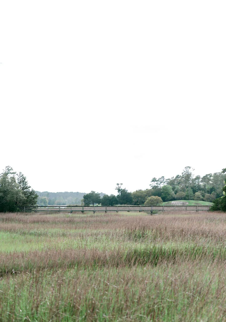 North Myrtle Beach Wedding Photographer-Casey & Brent -386.jpg