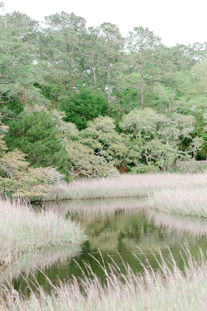 North Myrtle Beach Wedding Photographer-Casey & Brent -387.jpg