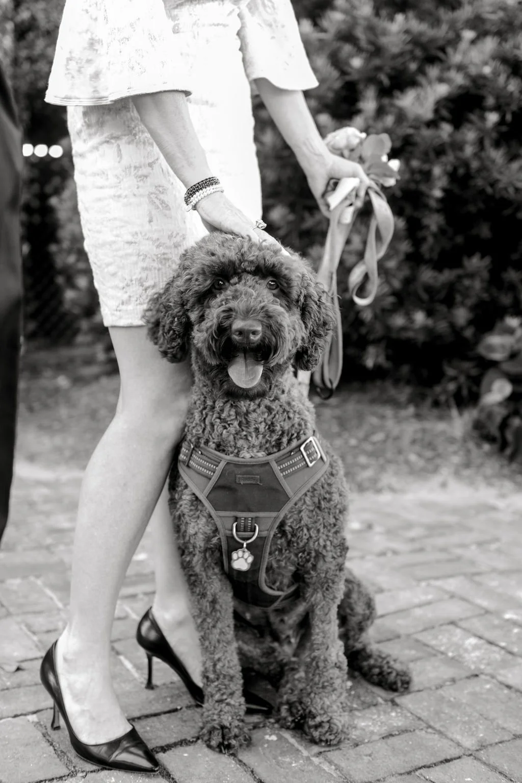 Savannah&MatthewWedding-HosannaWilmotPhotography-564.jpg