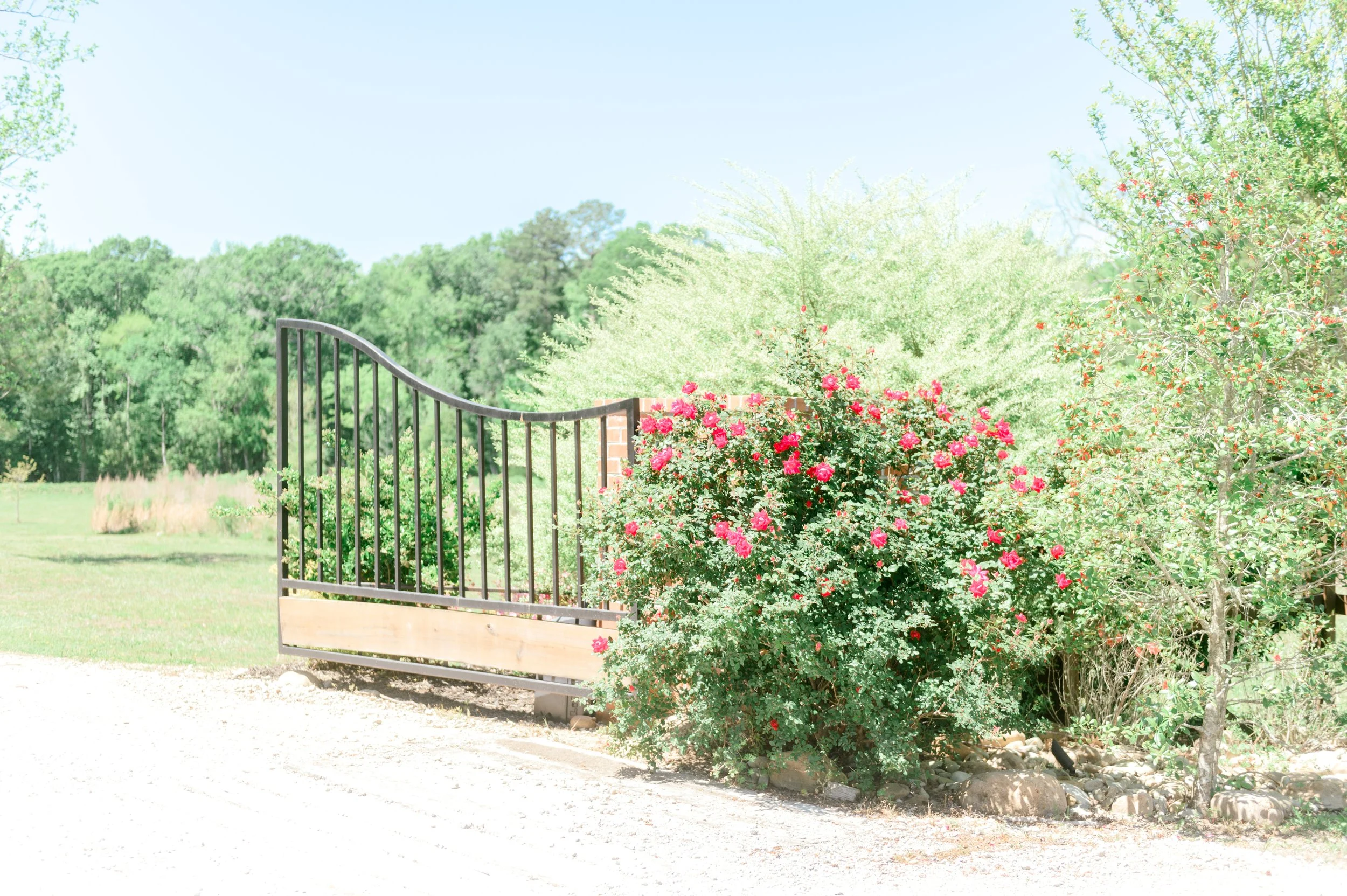 MyrtleBeachPhotographerbyHosannaWilmotPhotography-6.JPG