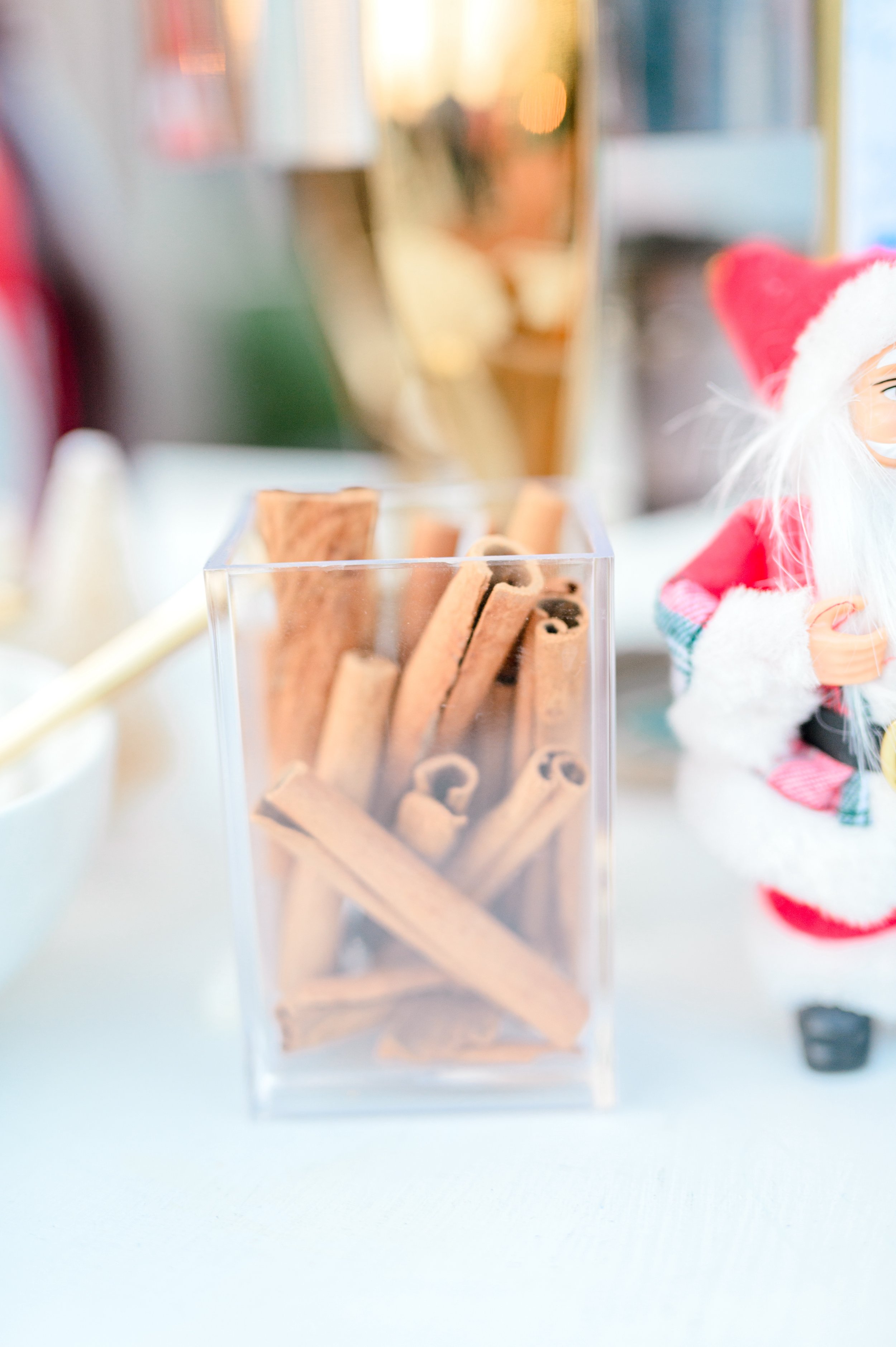 Myrtle Beach Tangers Christmas Event by Hosanna Wilmot Photography -14.JPG