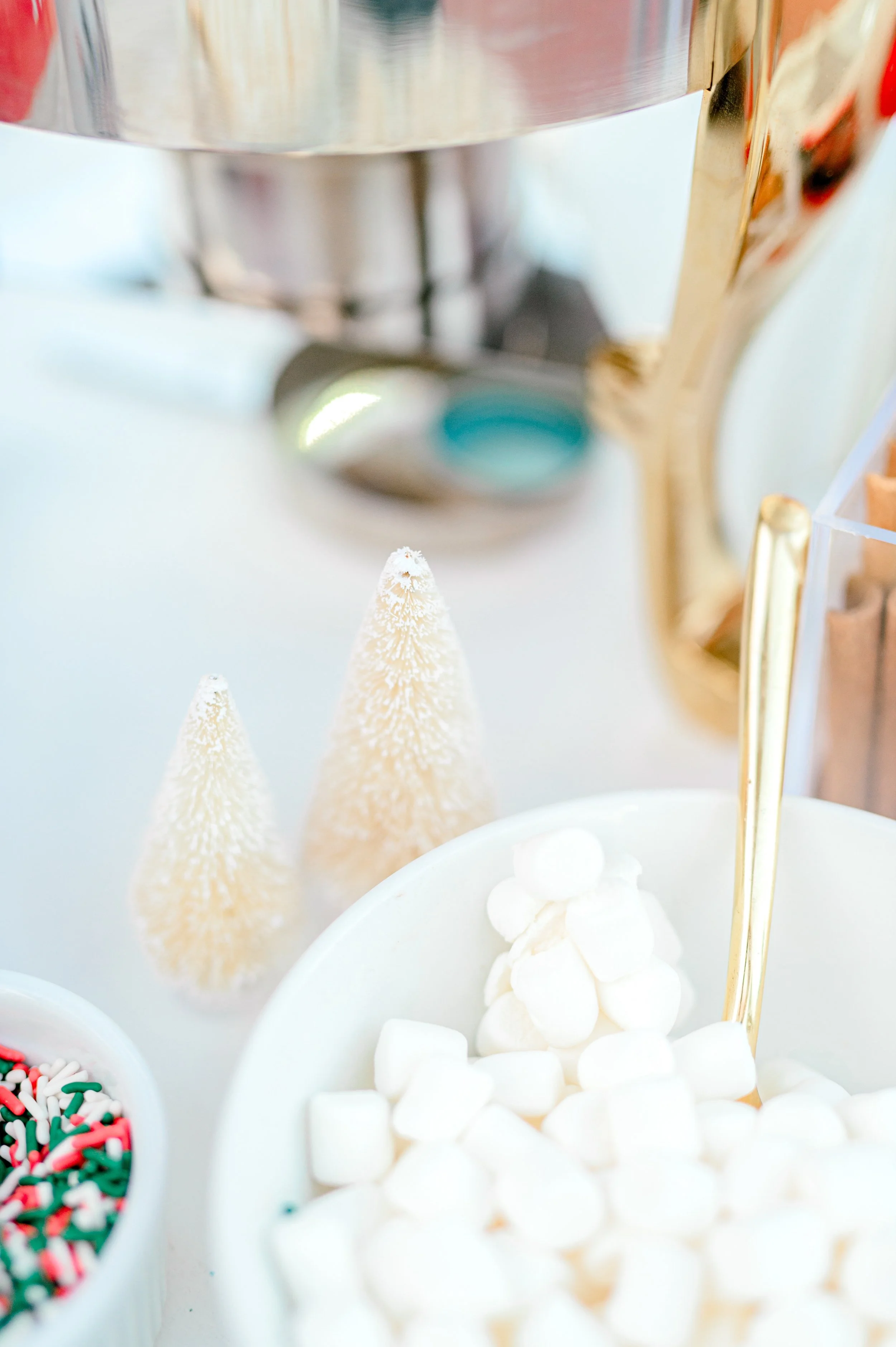 Myrtle Beach Tangers Christmas Event by Hosanna Wilmot Photography -17.JPG