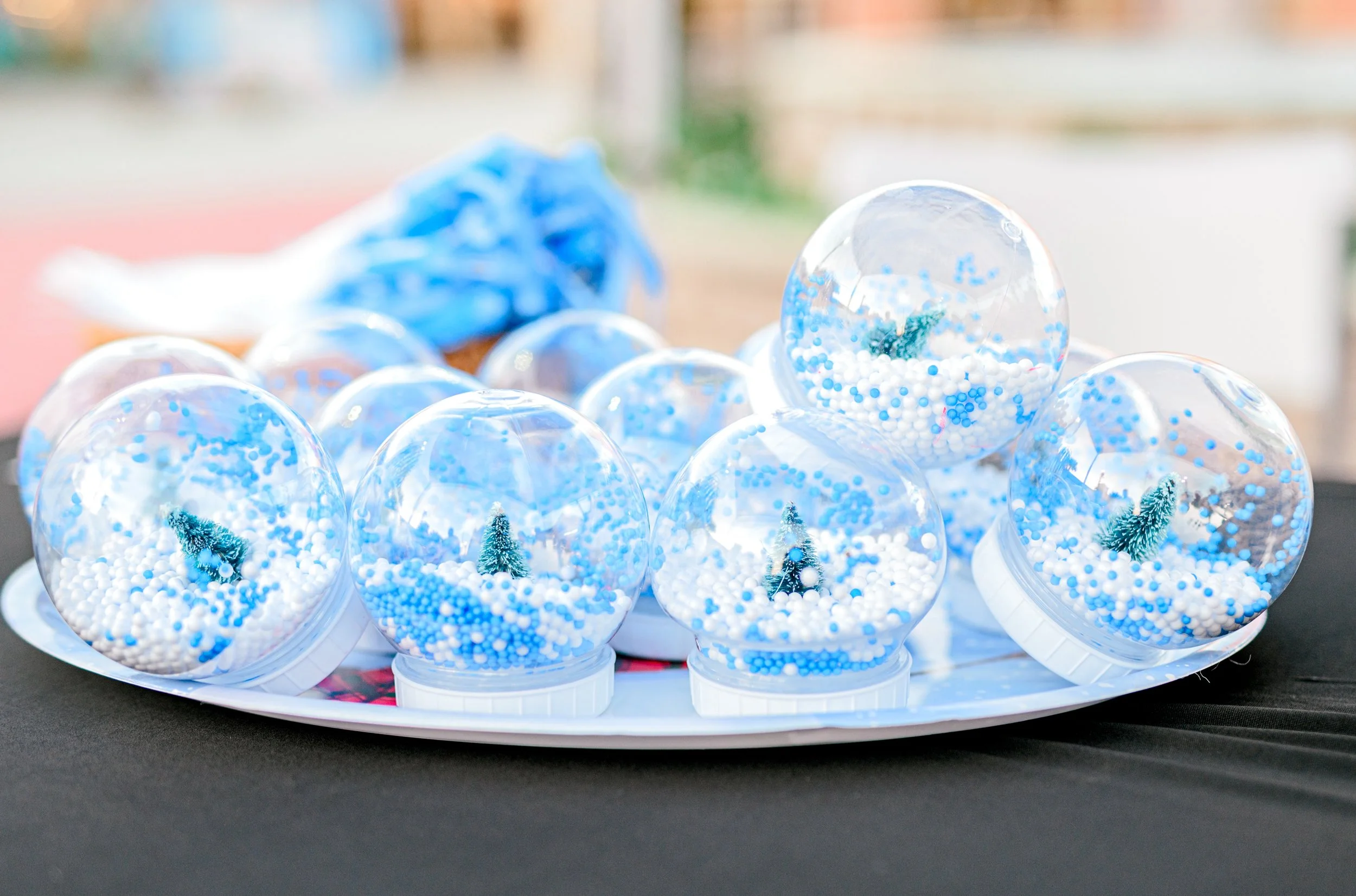 Myrtle Beach Tangers Christmas Event by Hosanna Wilmot Photography -28.JPG