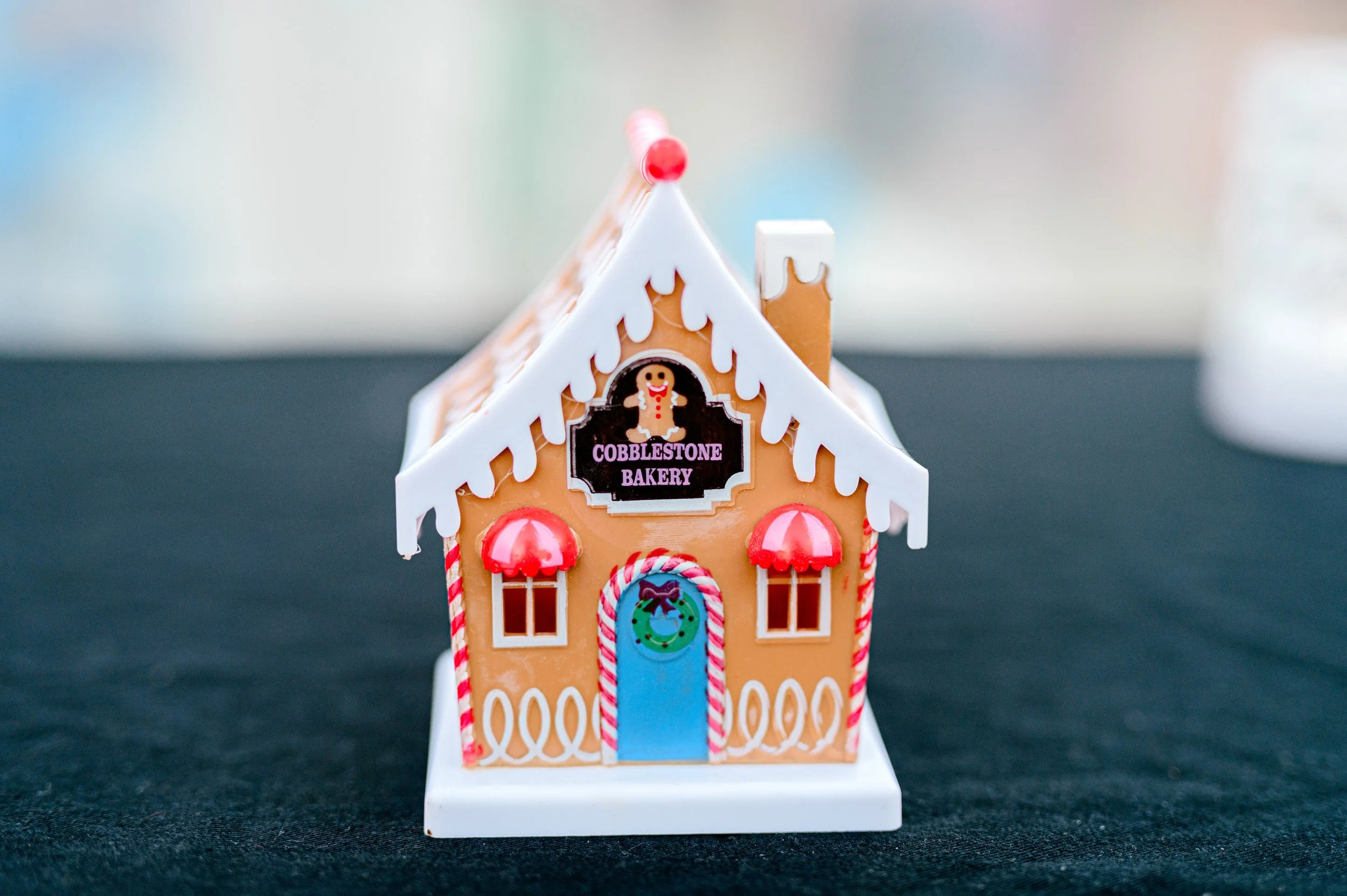 Myrtle Beach Tangers Christmas Event by Hosanna Wilmot Photography -40.JPG