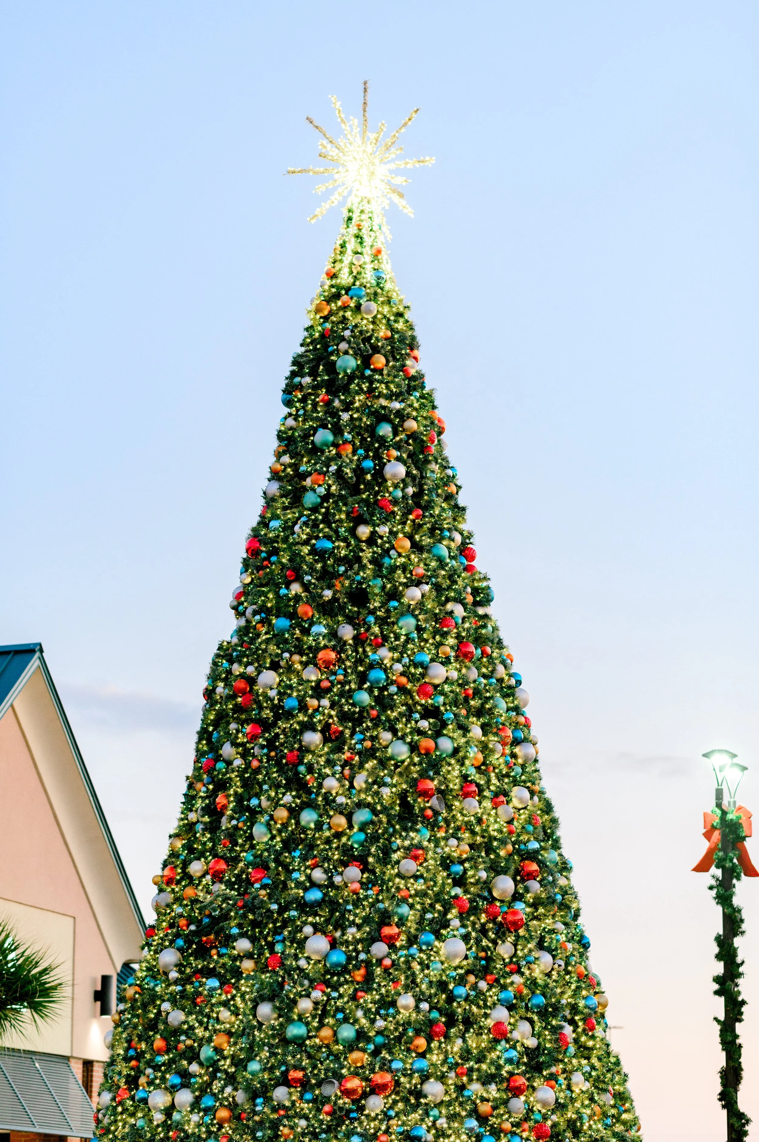 Myrtle Beach Tangers Christmas Event by Hosanna Wilmot Photography -42.JPG