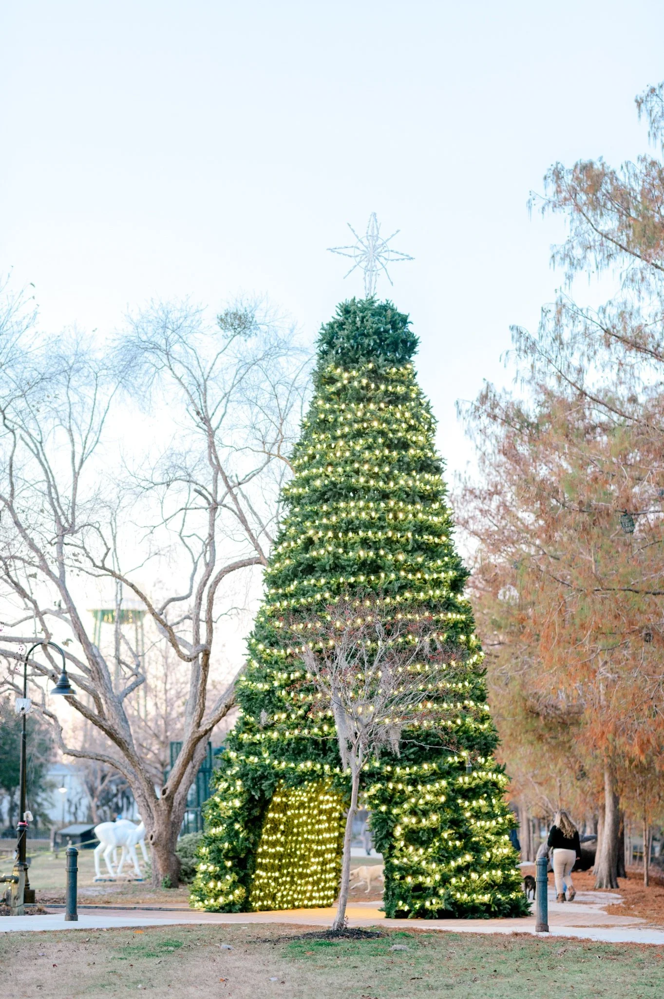 Pine Lakes Christmas Photography session by Hosanna Wilmot Photography -147.JPG