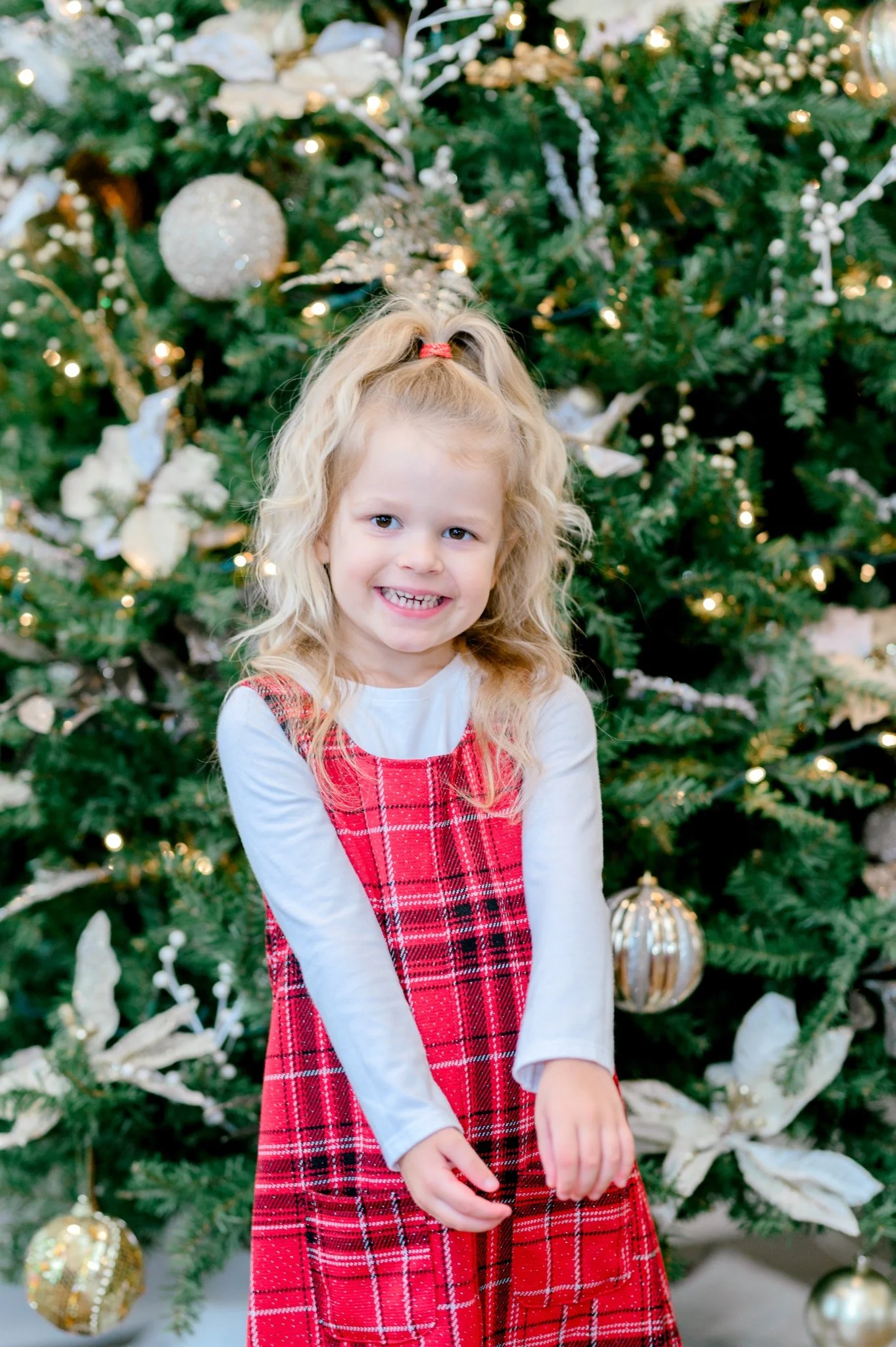 Pine Lakes Christmas Photography session by Hosanna Wilmot Photography -44.JPG