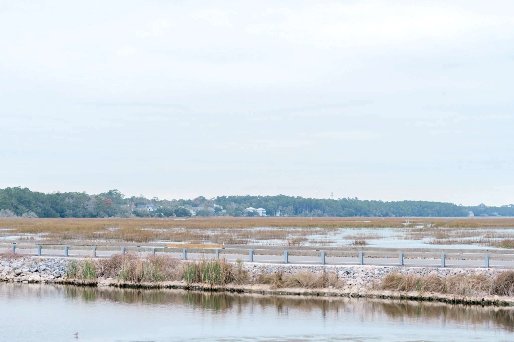 Christmas Mini's Photography by Hosanna Wilmot Photography -2.jpg