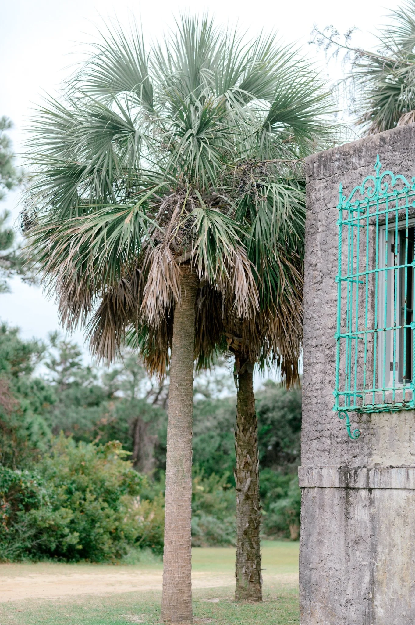 Christmas Mini's Photography by Hosanna Wilmot Photography -80.jpg