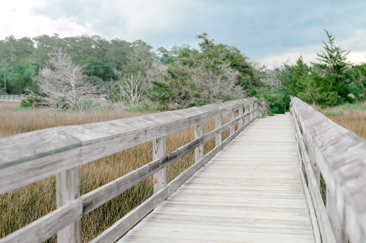 Vereen Gardens Photography by Hosanna Wilmot Photography-10.JPG