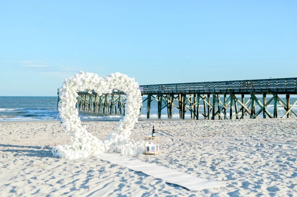Engagement Proposal Charleston South Carolina | Hosanna Wilmot Photography -9.JPG