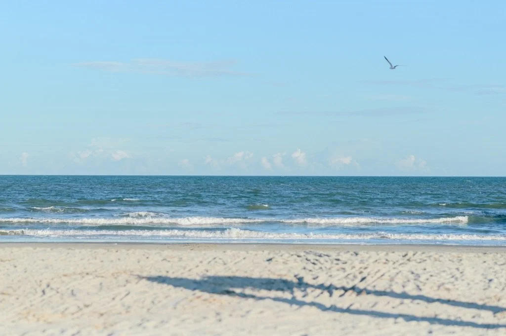 Engagement Proposal Charleston South Carolina | Hosanna Wilmot Photography -13.JPG