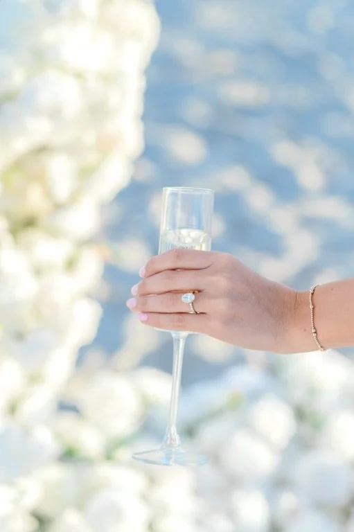 Engagement Proposal Charleston South Carolina | Hosanna Wilmot Photography -124.JPG