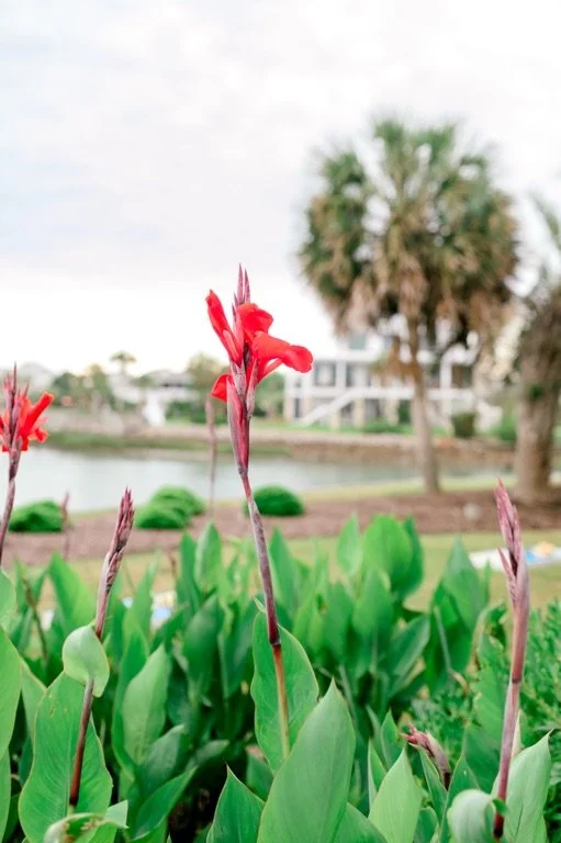Myrtle Beach Event Photography by Hosanna Wilmot Photography -8.JPG