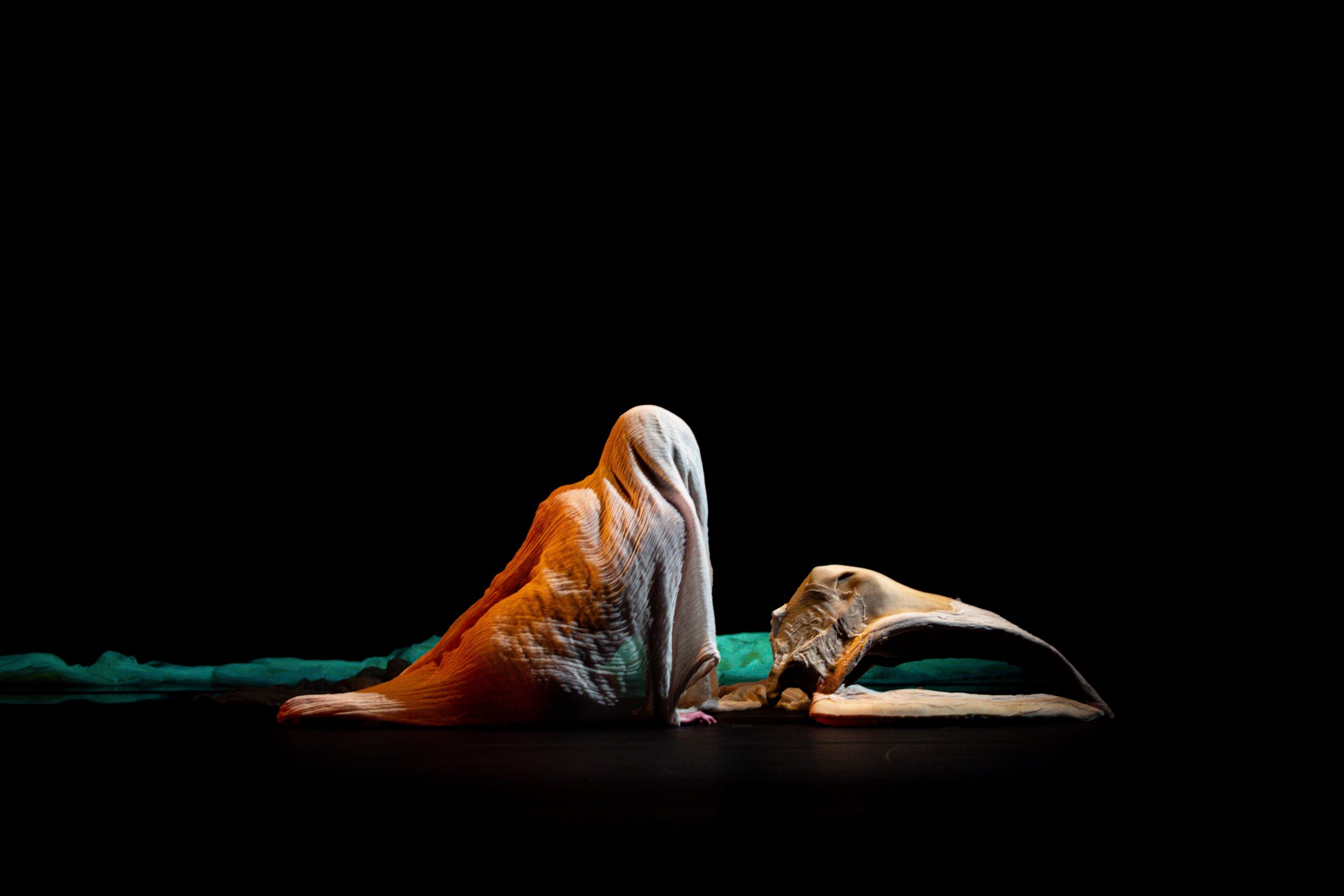 2026_05_JuliestgeorgesPhotographe_Estrie_Danse_EliseLegrand_Morphoses-34.jpg