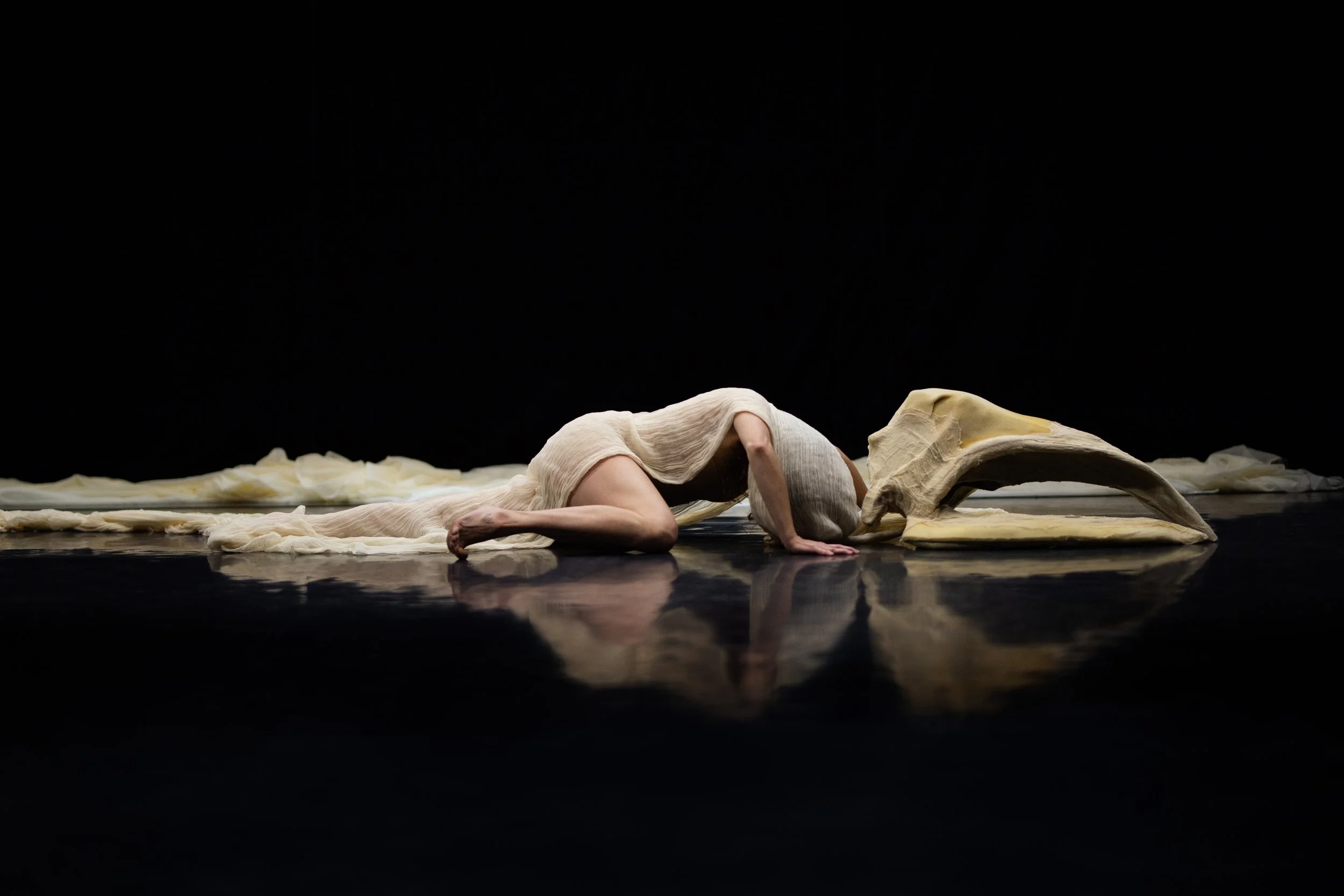2026_05_JuliestgeorgesPhotographe_Estrie_Danse_EliseLegrand_Morphoses-4_Finale.jpg