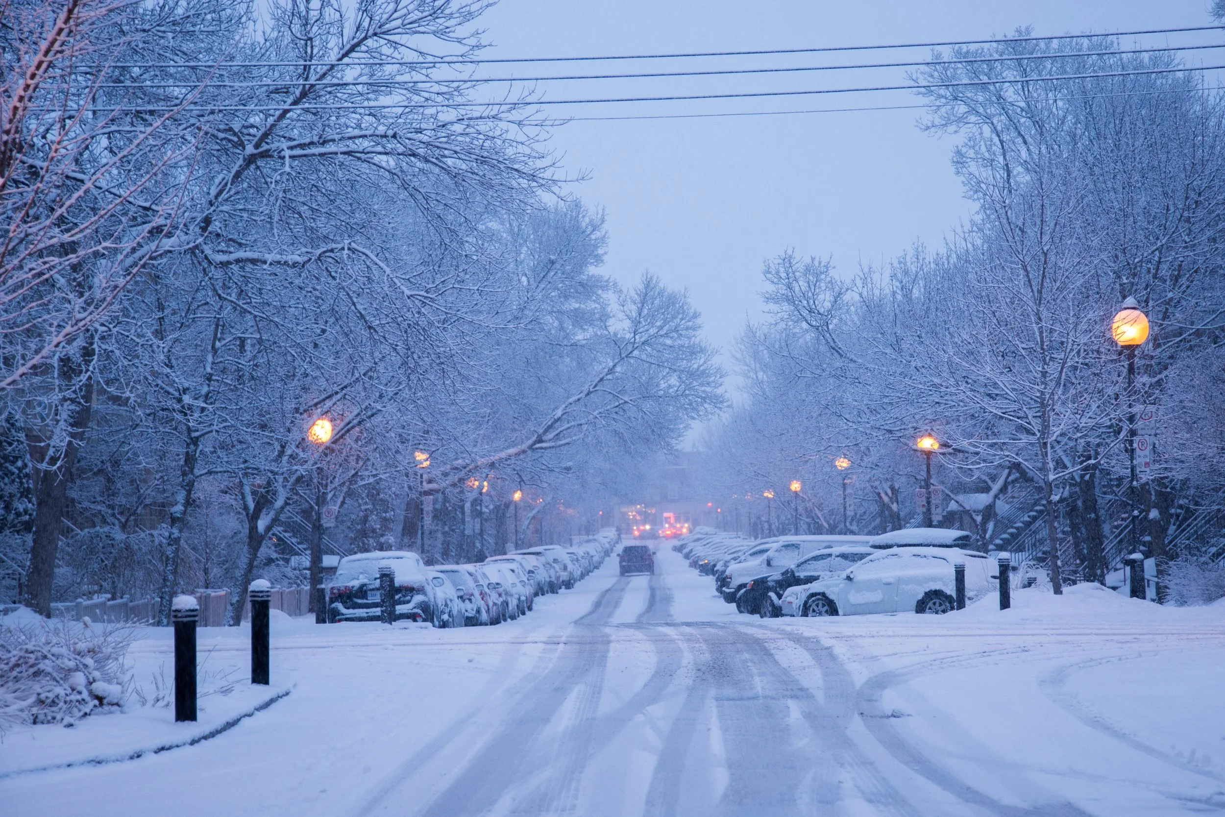 Juliestgeorges_PhotographGilfordStreet_PlateauMontRoyal_Montreal_Neige_snow_02.jpg