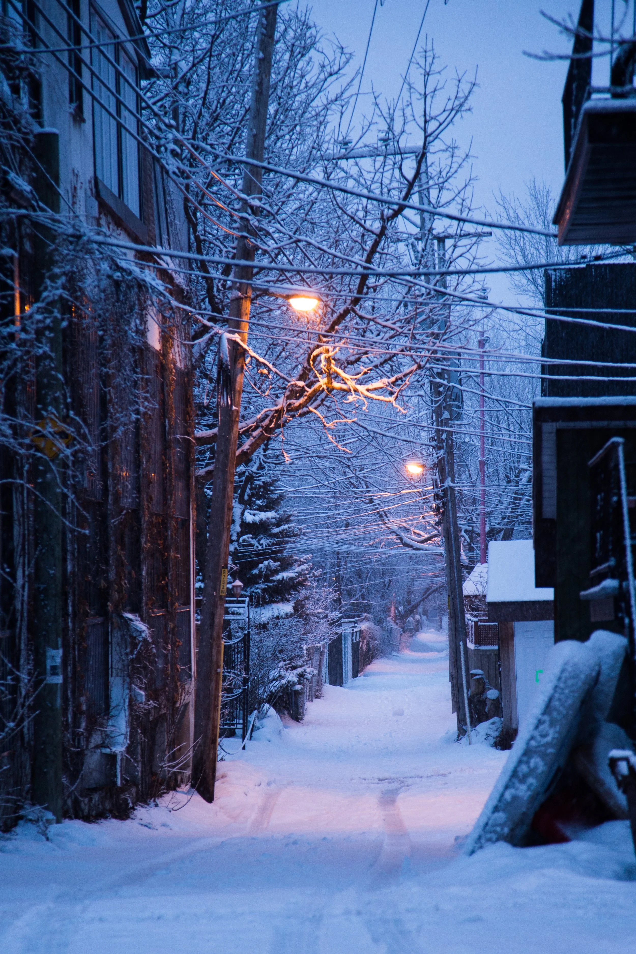 Juliestgeorges_PhotographGilfordStreet_PlateauMontRoyal_Montreal_Neige_snow_03.jpg