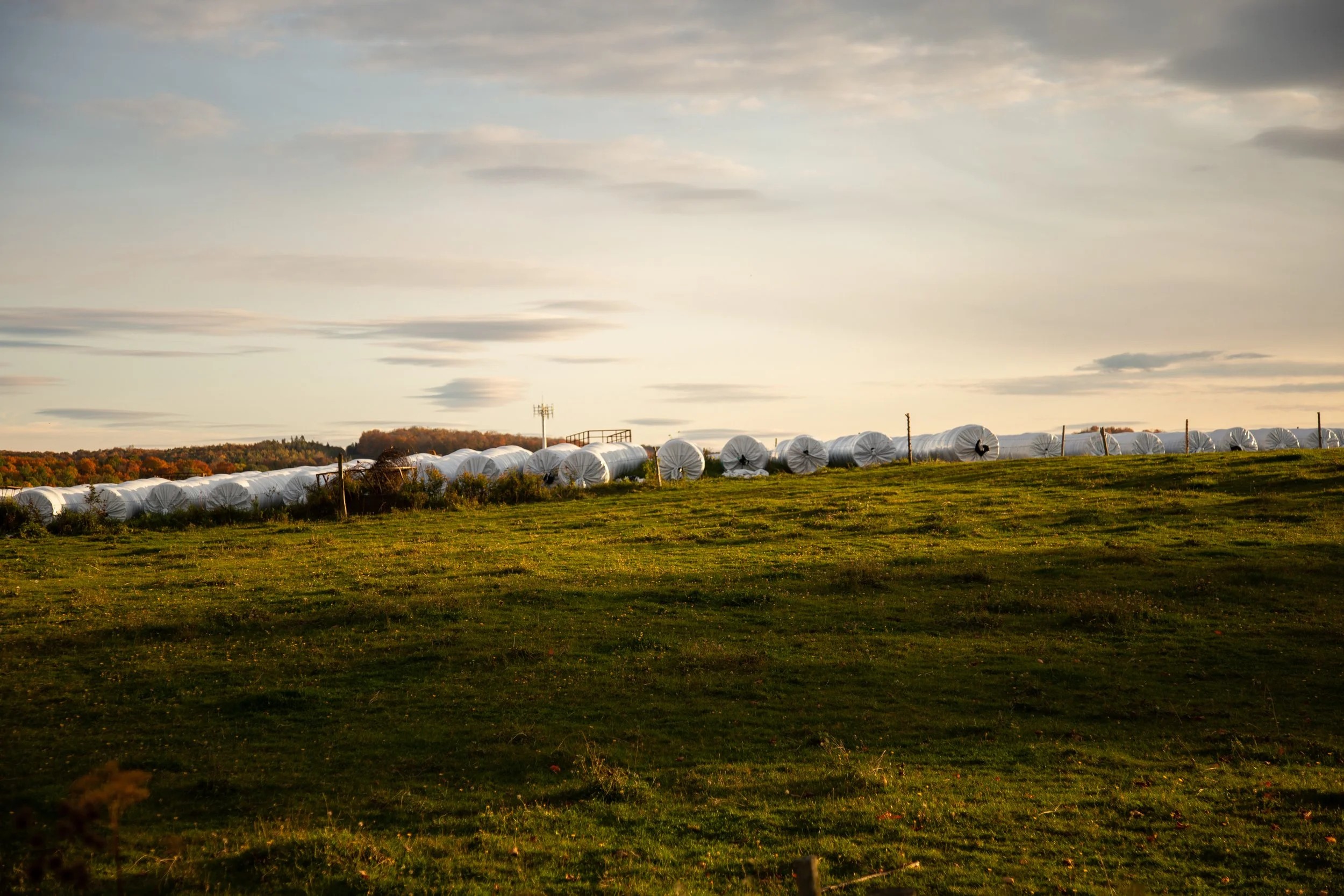 JuliestgeorgesPhotographe_2020_AgricultureEstrie_Stanstead_Quebec_Canada.jpg