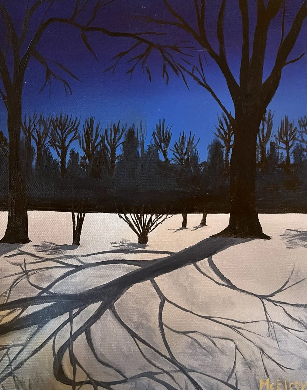 Moonlighty Shadows.jpeg