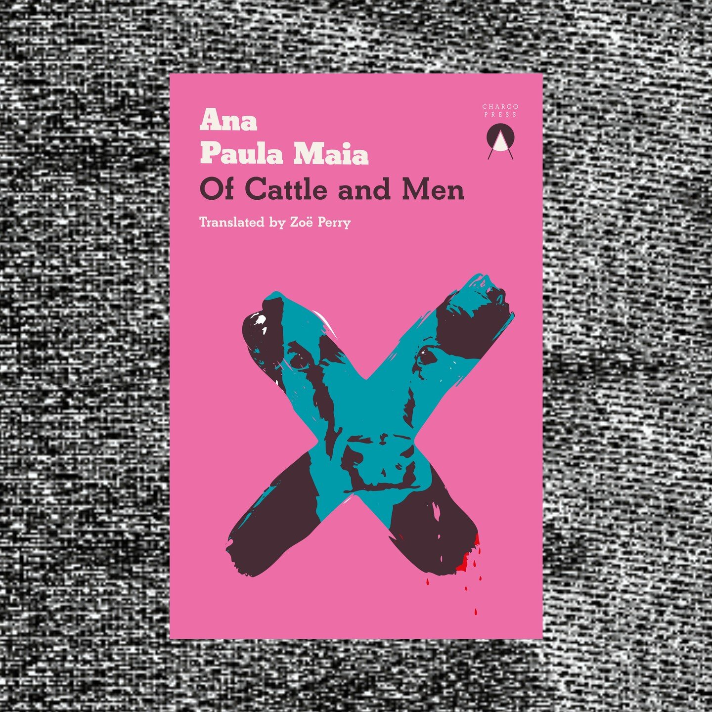 2024 Longlist: Congratulations! 

Of Cattle and Men by Ana Paula Maia
Translated by Zo&euml; Perry
Charco Press

Our judges said: &ldquo;A stunning thriller of sorts. So understated. So powerful. So heartbreaking. Worked for me completely on both the
