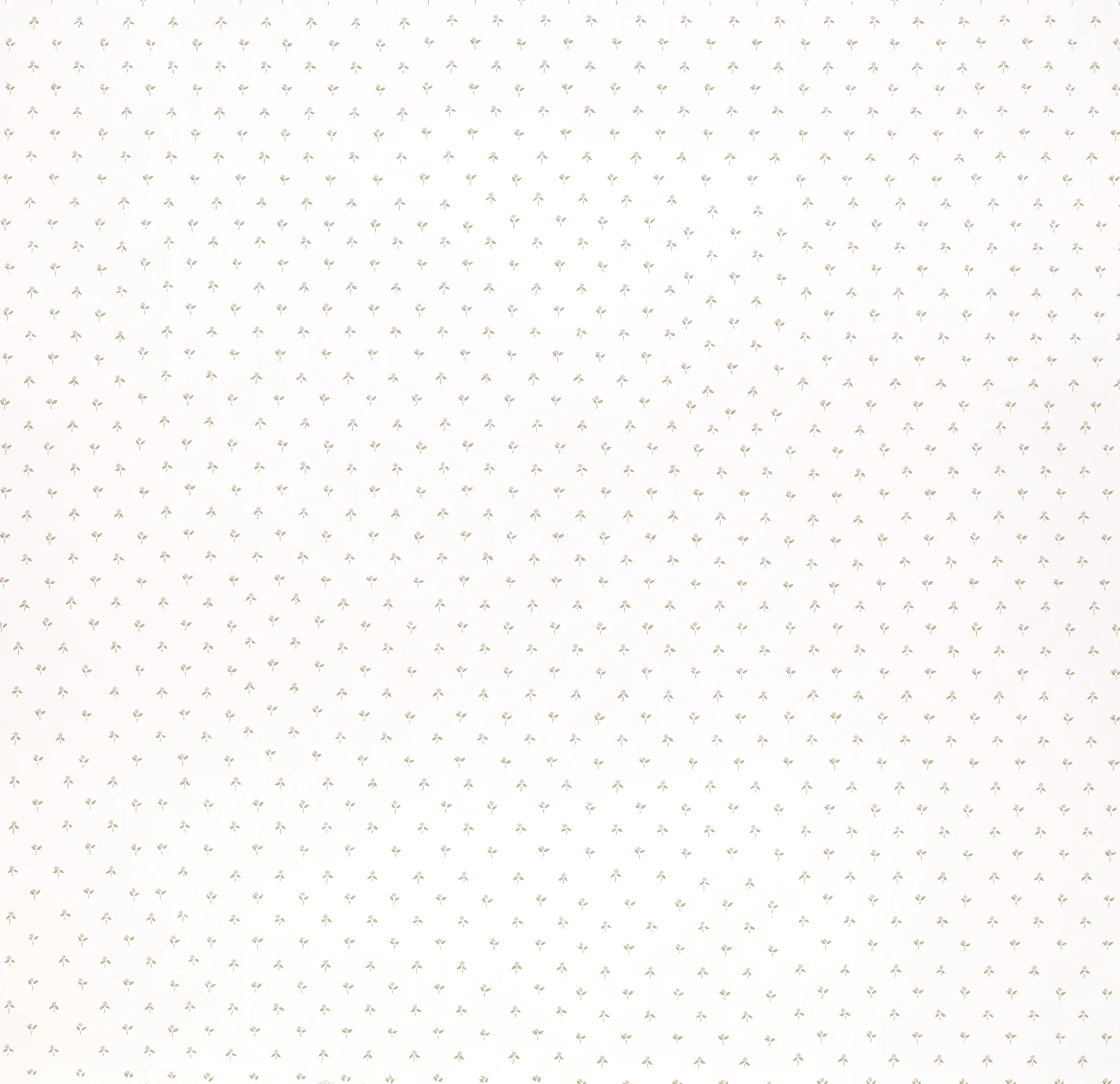 Castleberry_Tulip_Pink_2500.jpg