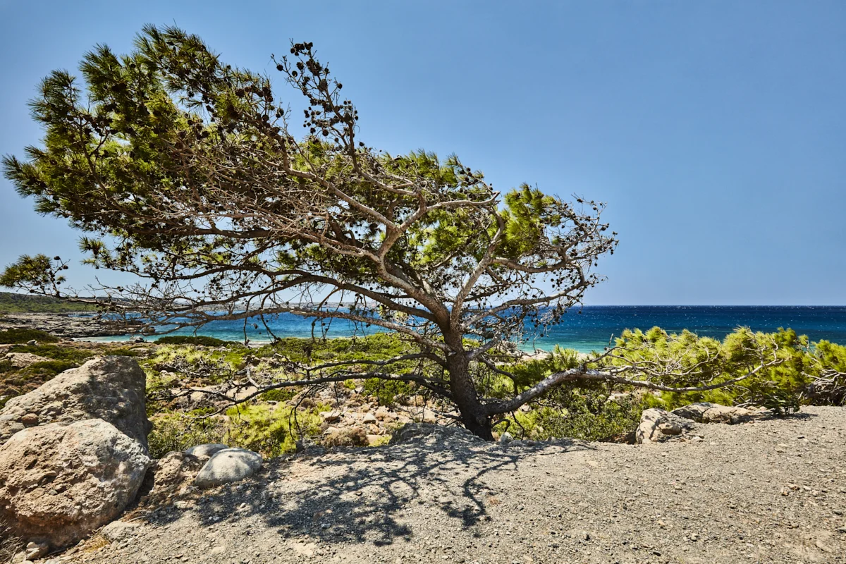 _U8A1348-v2.jpg