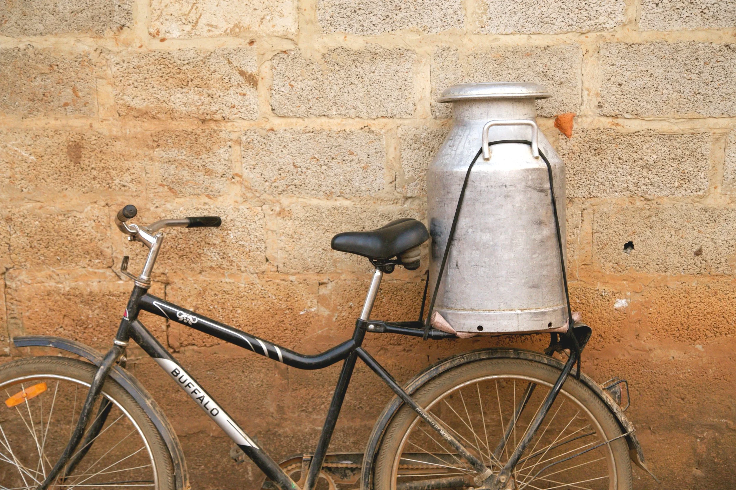 WBR_The_Bike14.jpg
