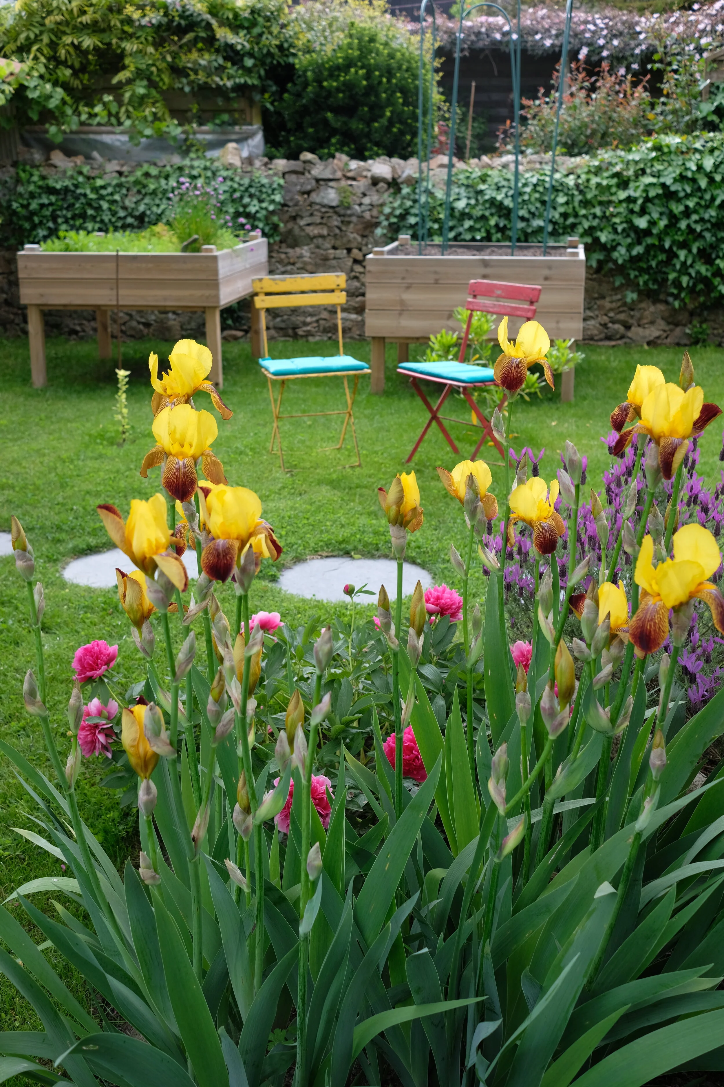DSCF9206.JPG