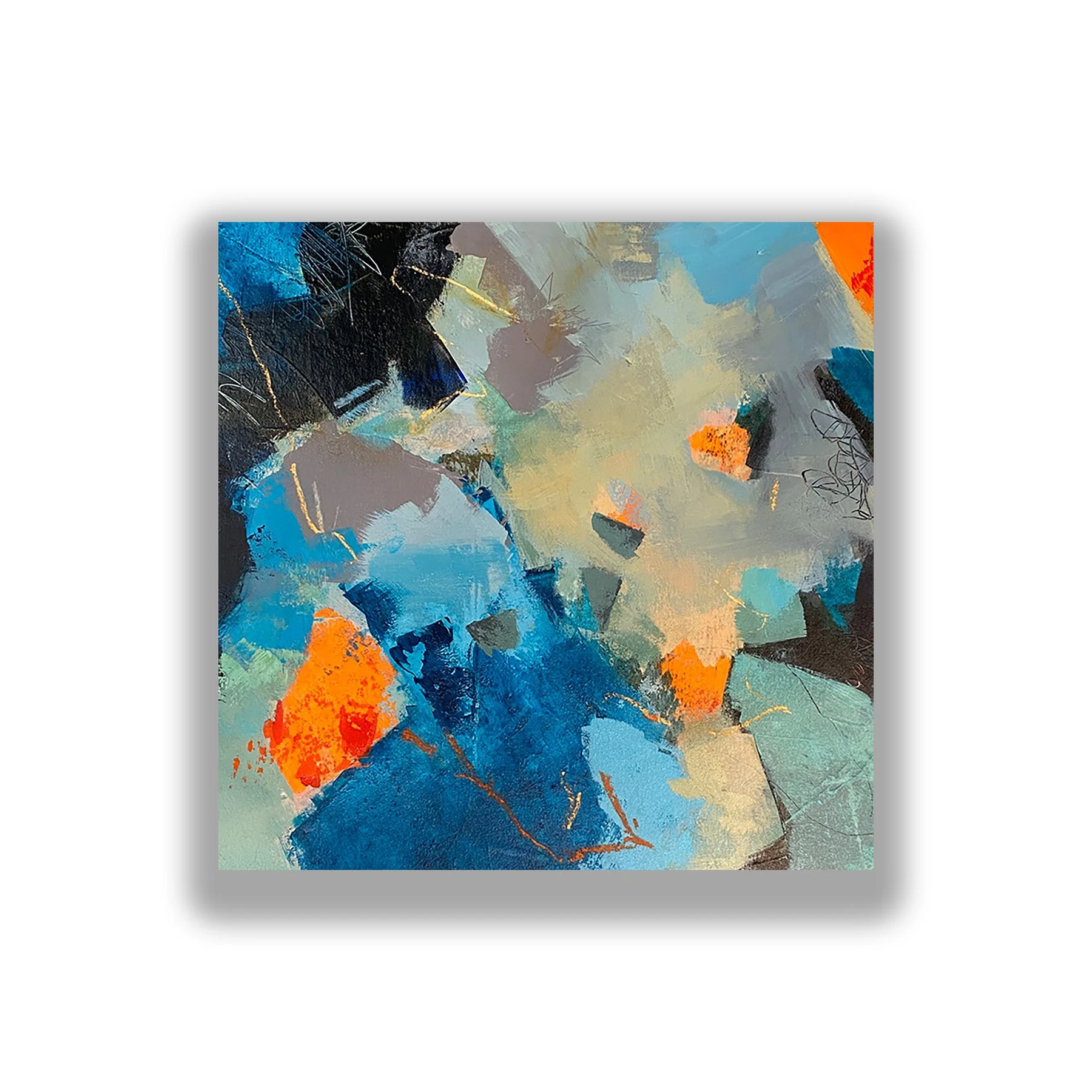 Canyon Section in High Contrast #1