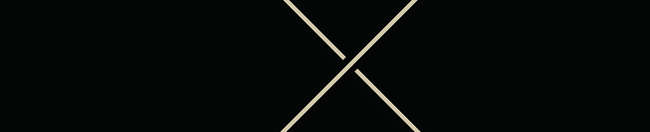 X-2.png