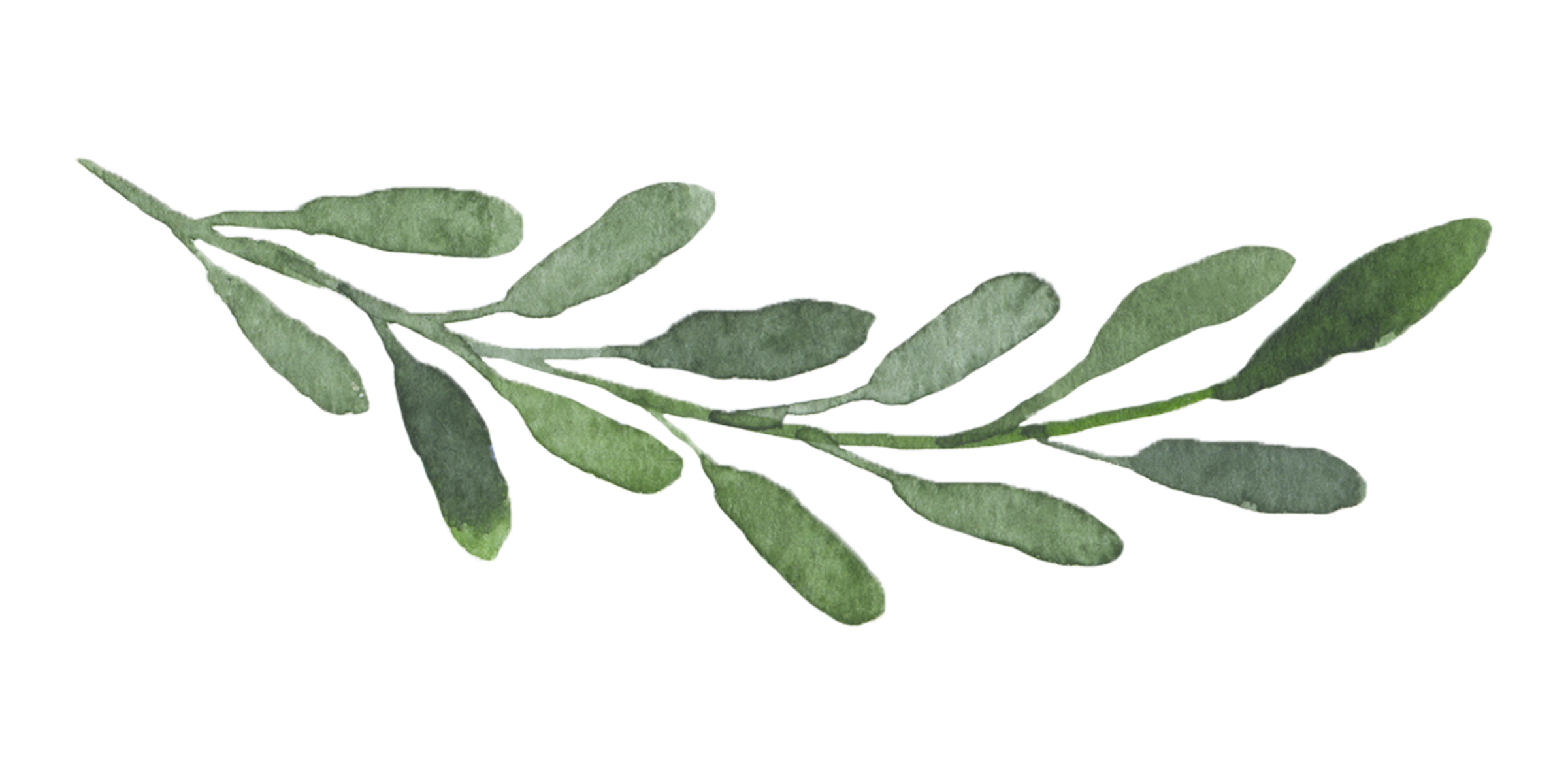 leaves3.png