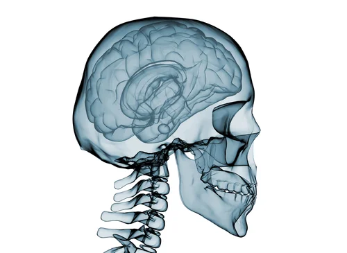 Craniosacral Therapy Training