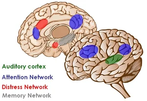 Tinnitus and Craniosacral Therapy — Somatic Trauma Therapy ...
