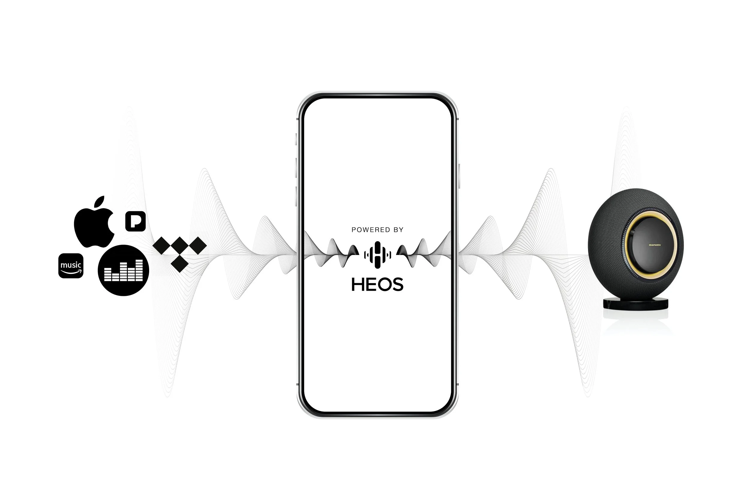 anc | holiday e-card comps v20256.jpg