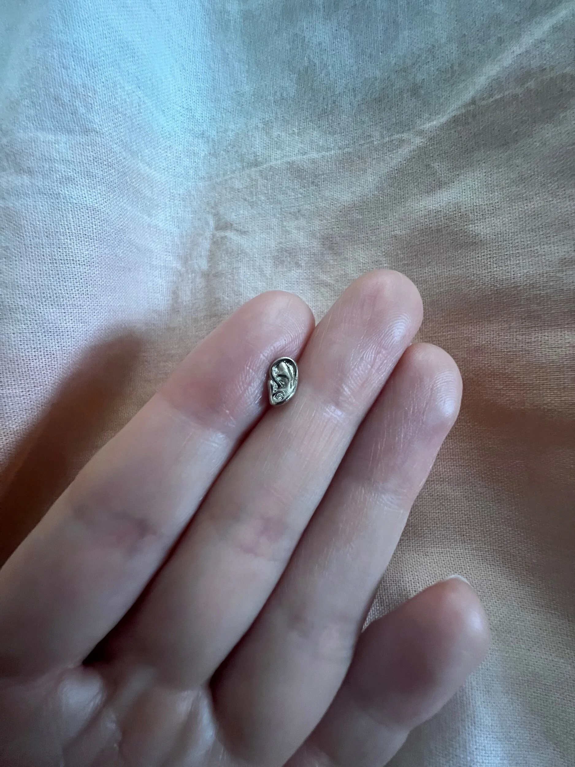 8F0BA3FE-4657-4853-BA26-5F79A98353CB