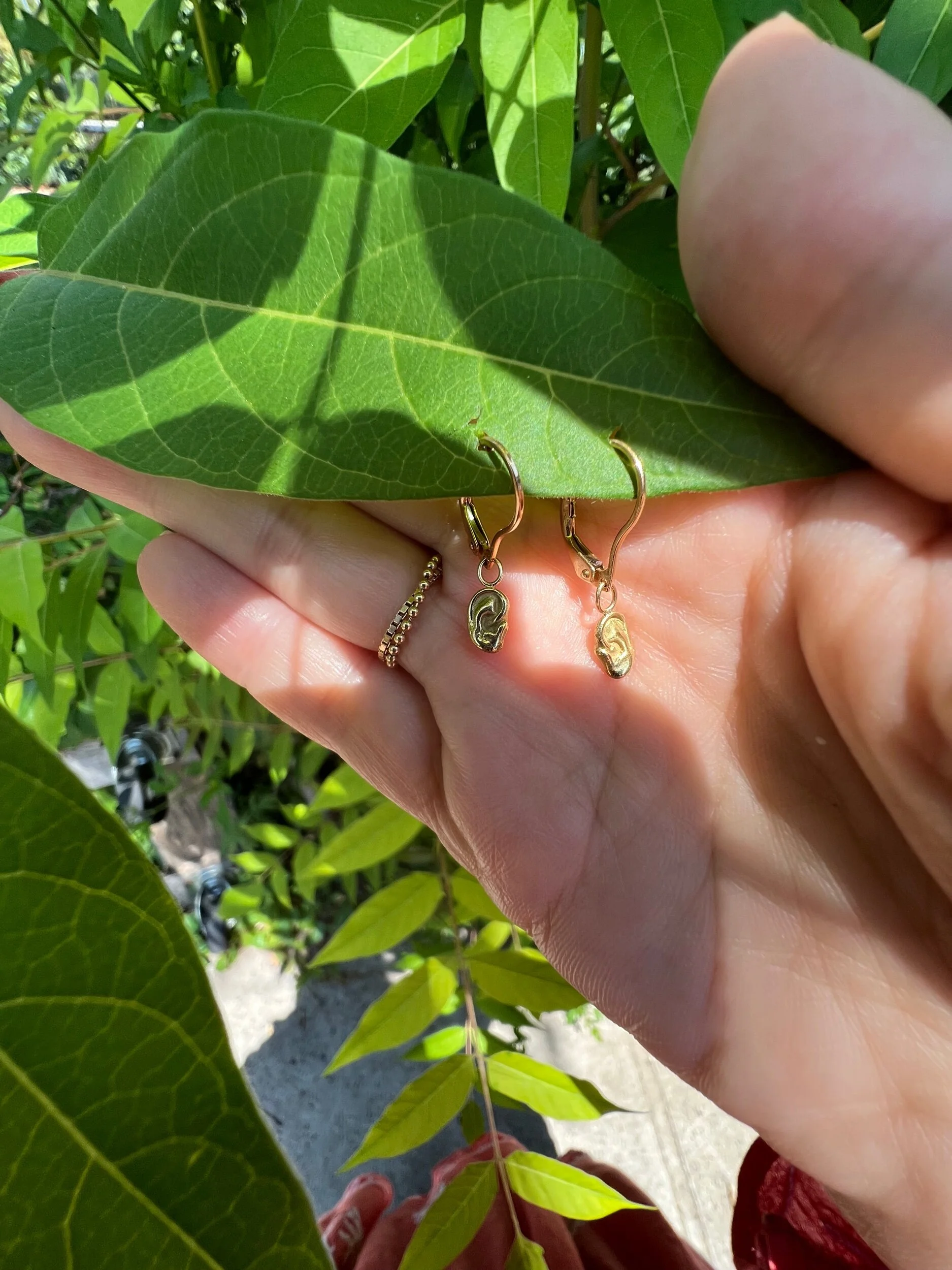 DACD8D1F-16E2-4CE2-B7D4-0A2CF31575BD