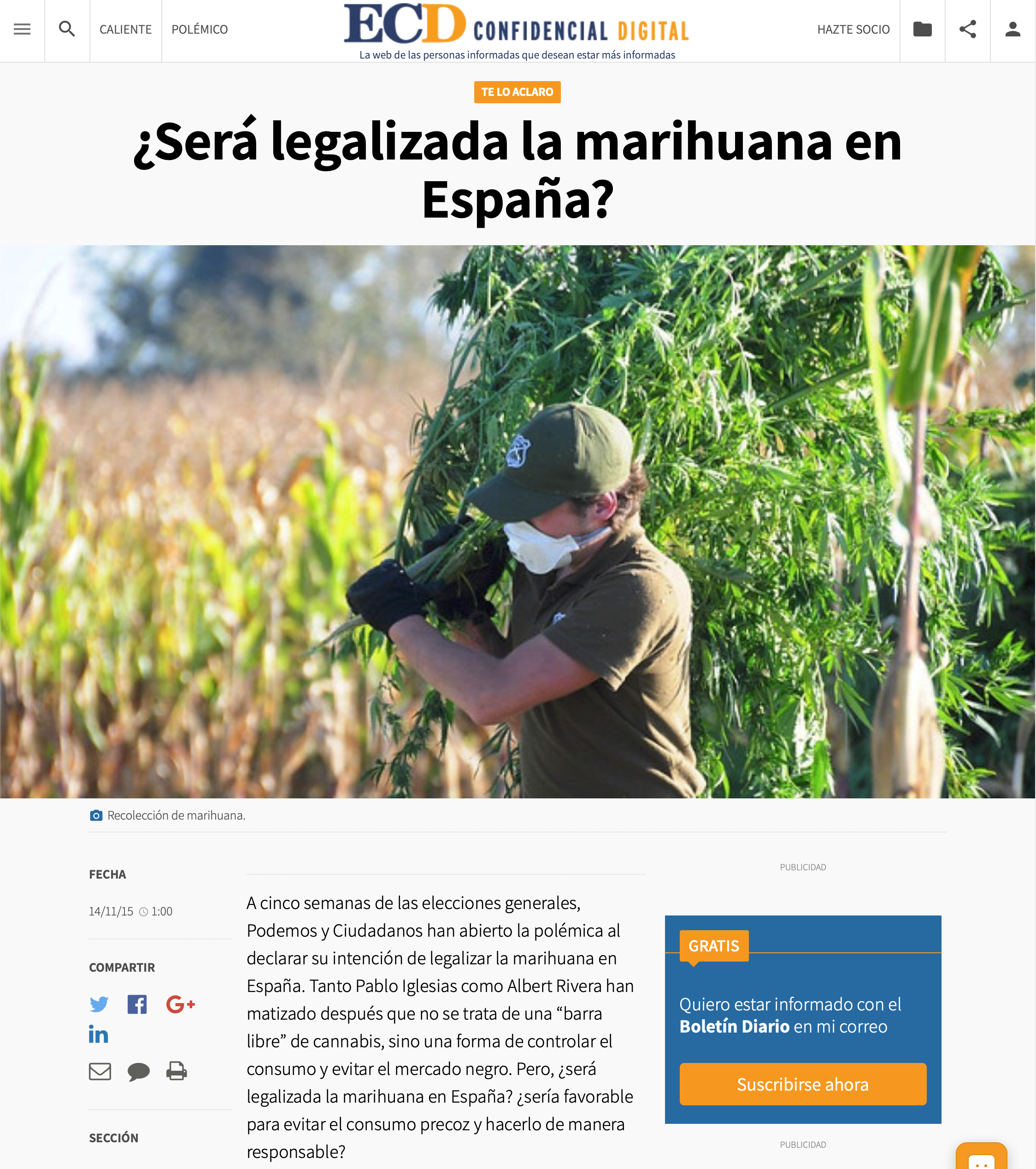 ¿Será legalizada la marihuana en España?
