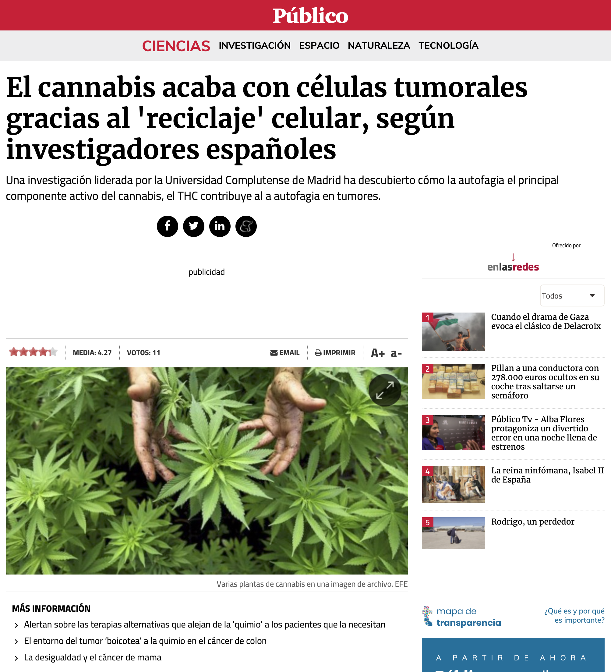 El cannabis acaba con células tumorales gracias al 'reciclaje' celular, según investigadores españoles.